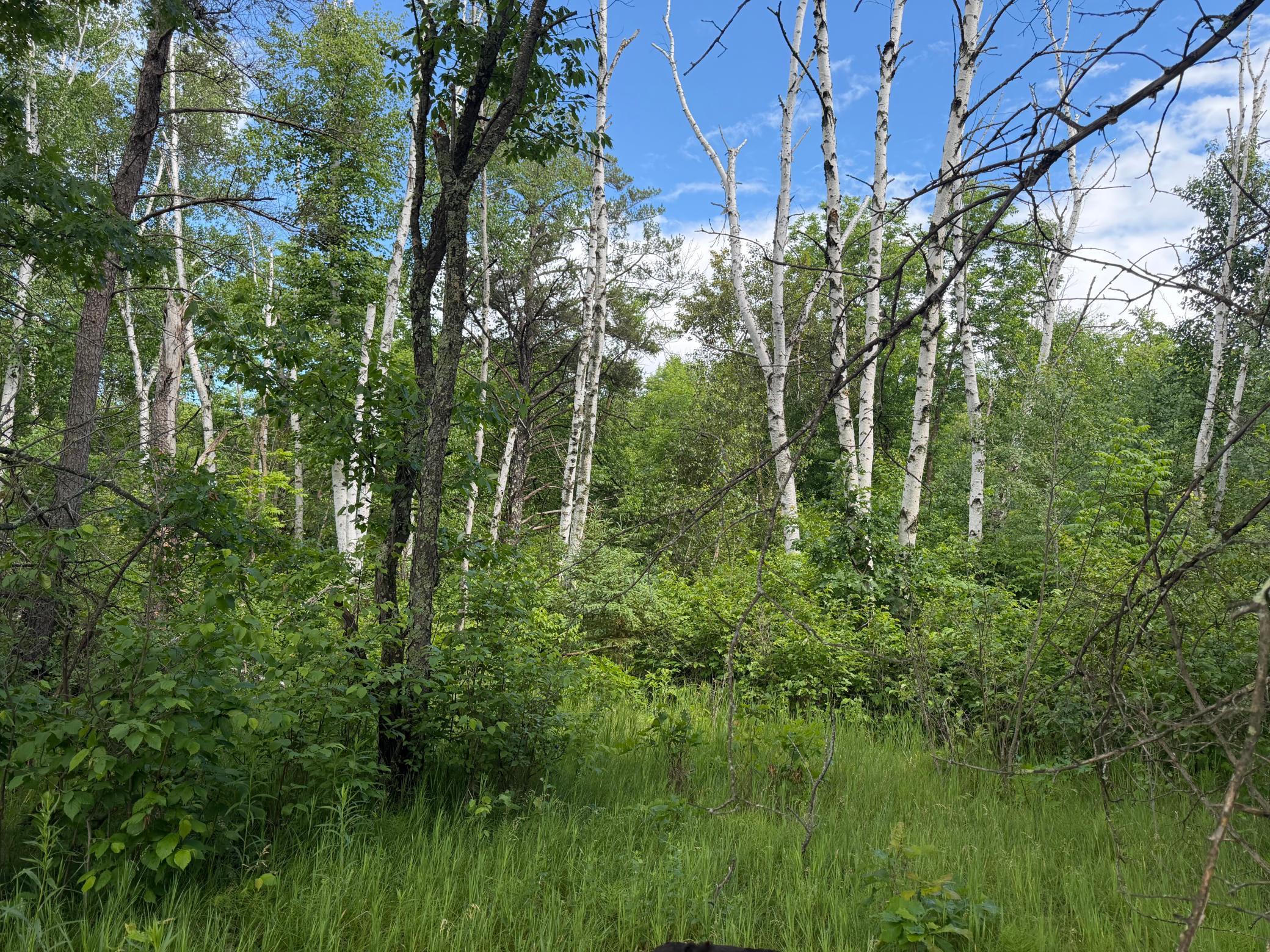TBD 340th Street, Menahga MN 56464 - Photo 48 of 54