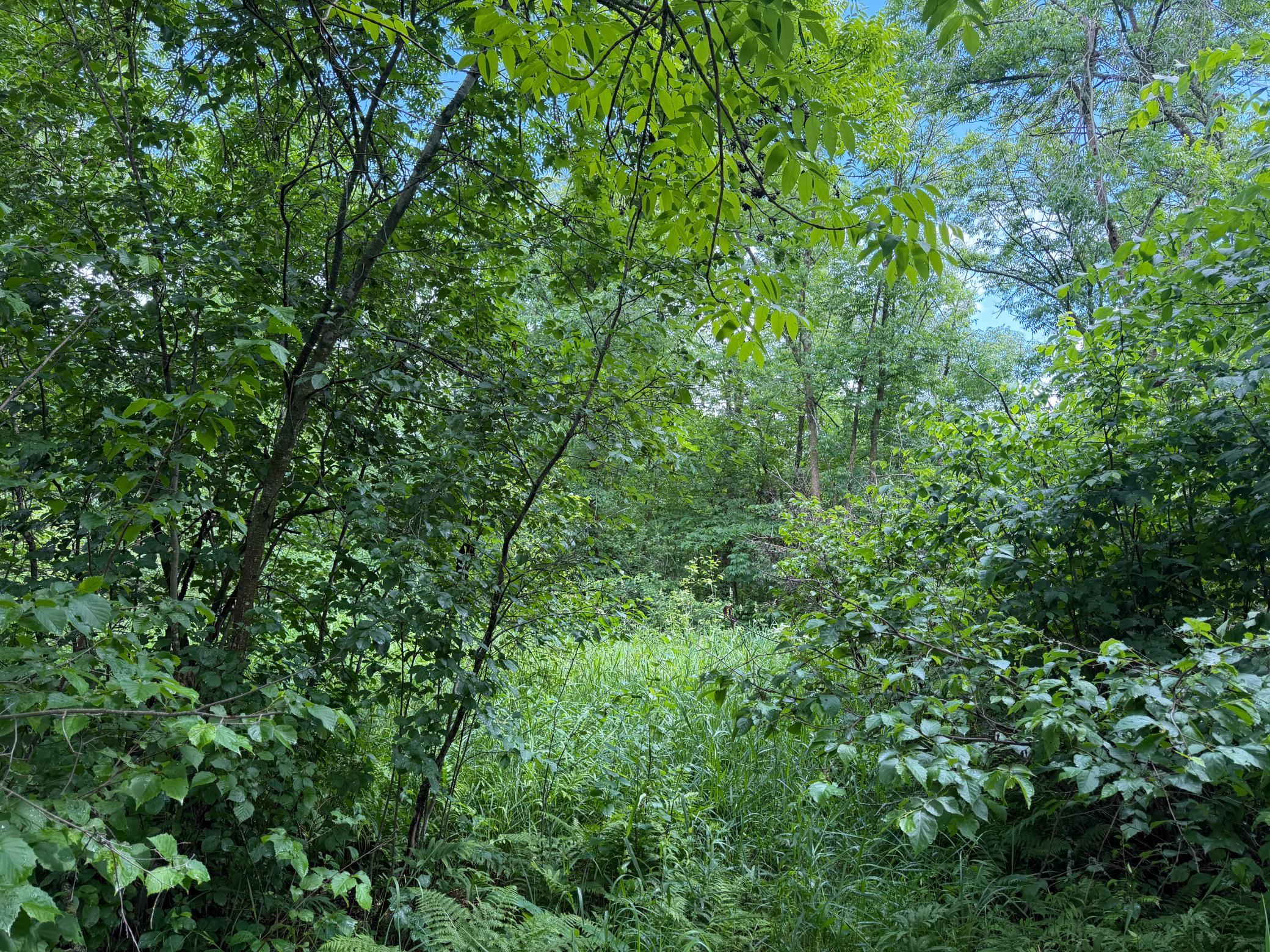 TBD 340th Street, Menahga MN 56464 - Photo 49 of 54