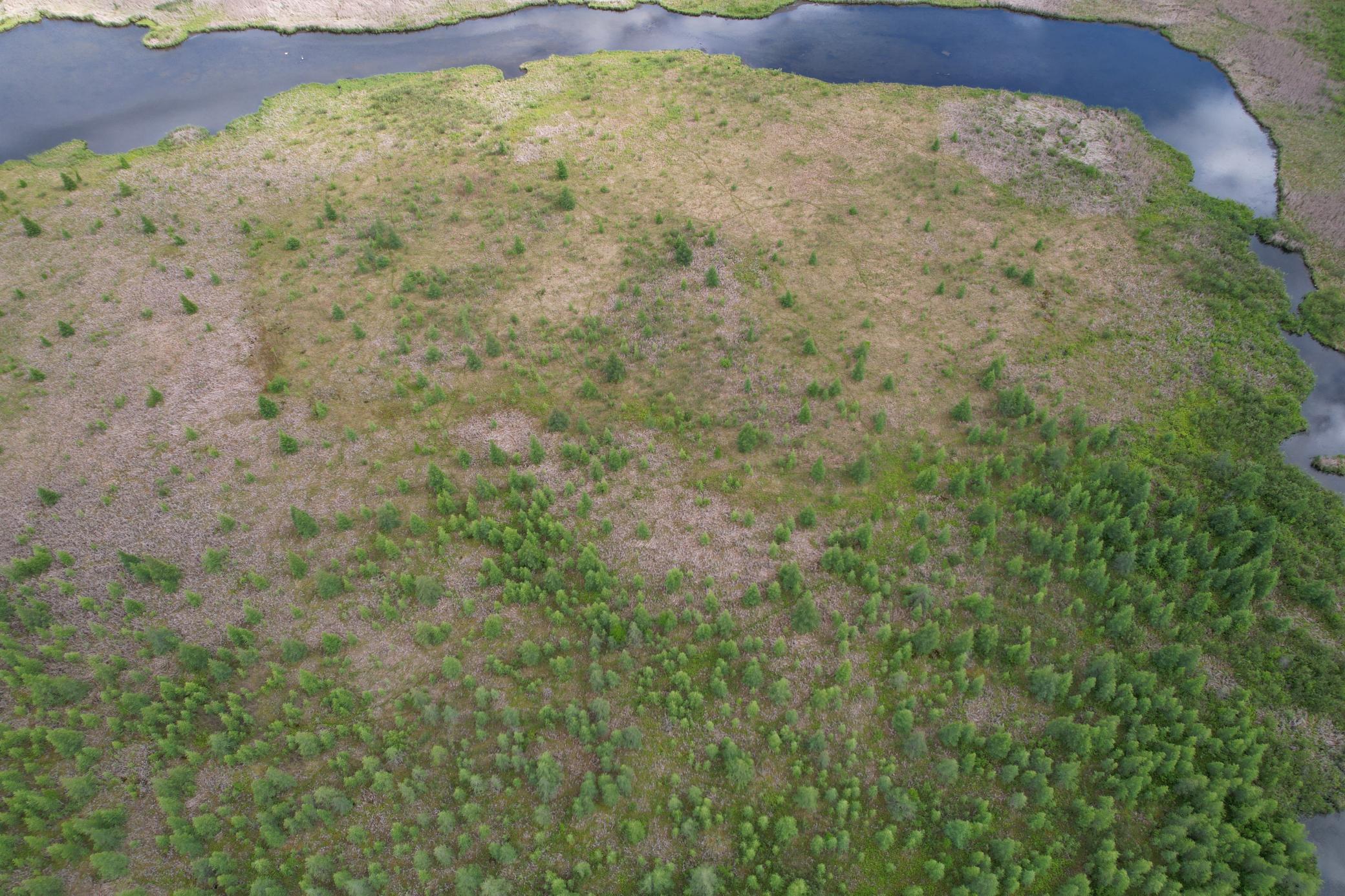 TBD 340th Street, Menahga MN 56464 - Photo 6 of 54