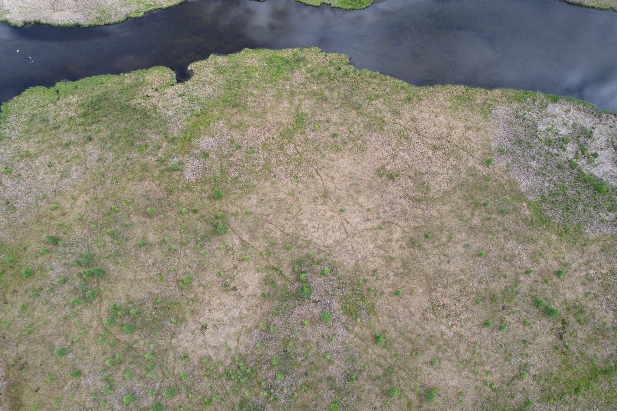 TBD 340th Street, Menahga MN 56464 - Photo 7 of 54