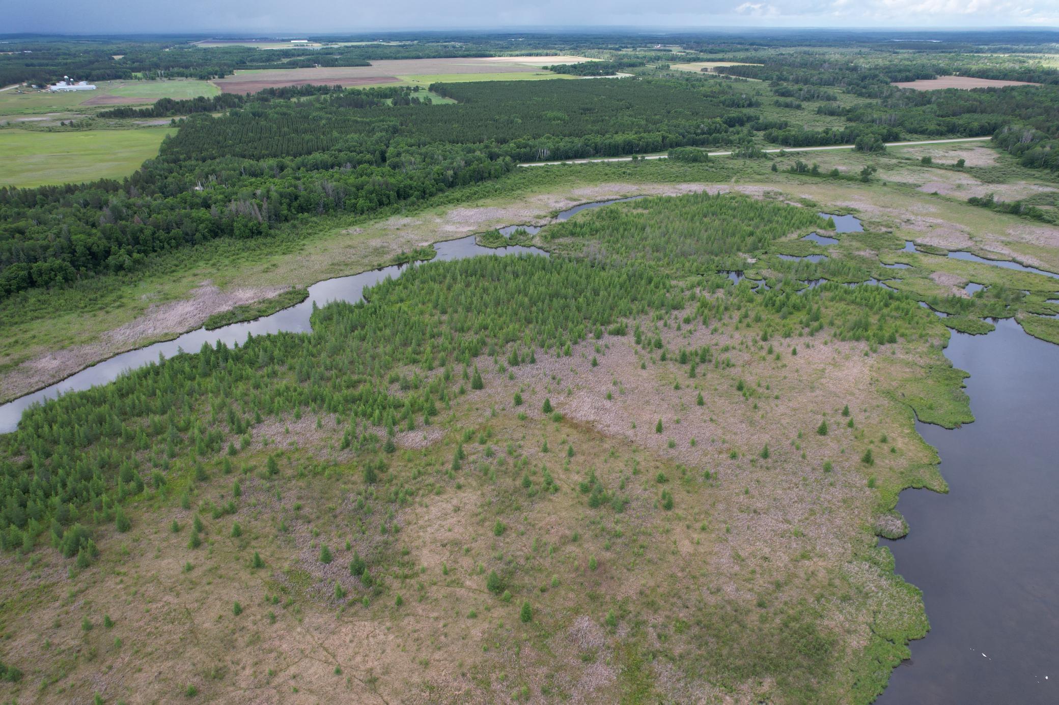 TBD 340th Street, Menahga MN 56464 - Photo 8 of 54
