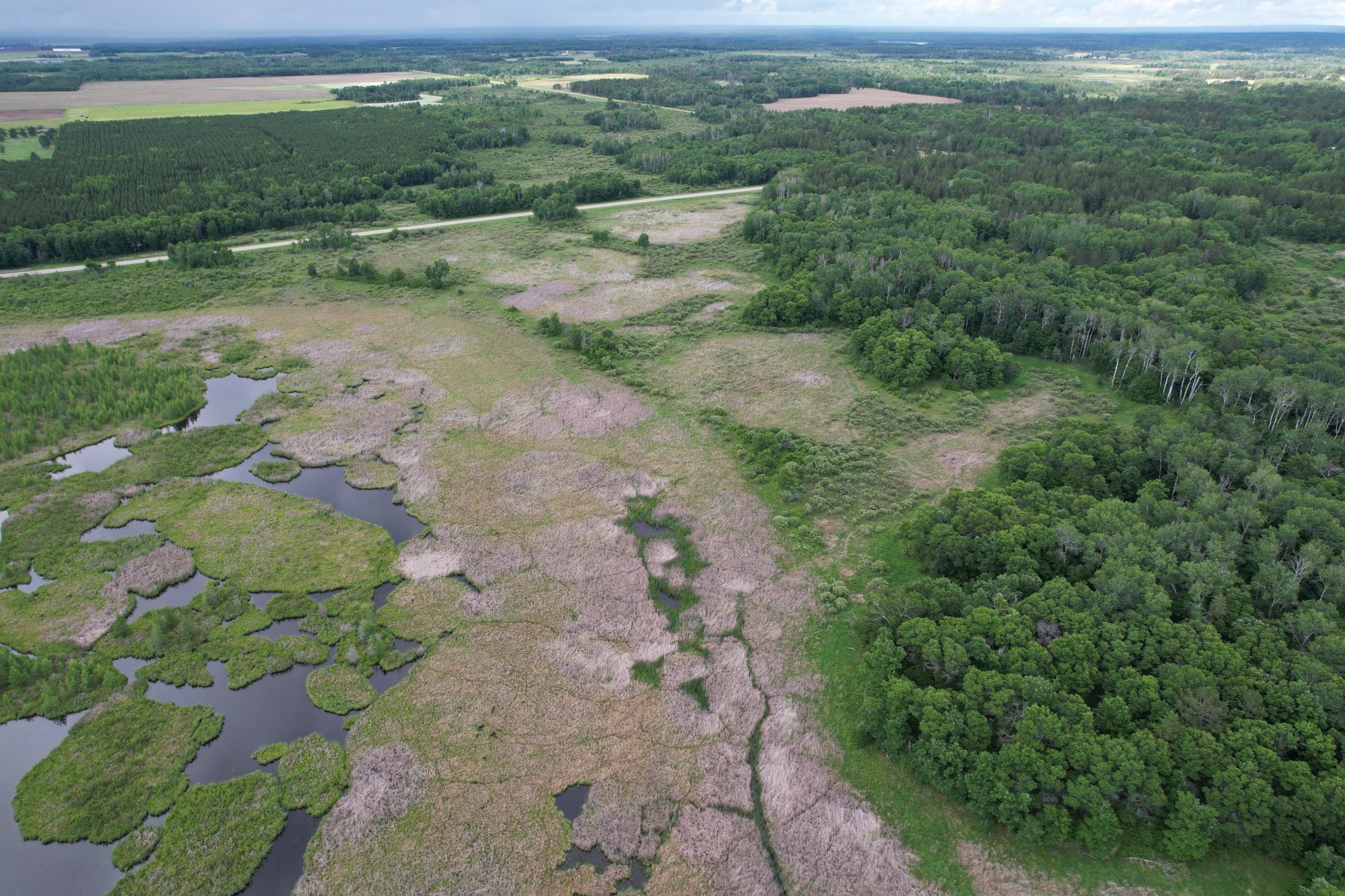 TBD 340th Street, Menahga MN 56464 - Photo 9 of 54