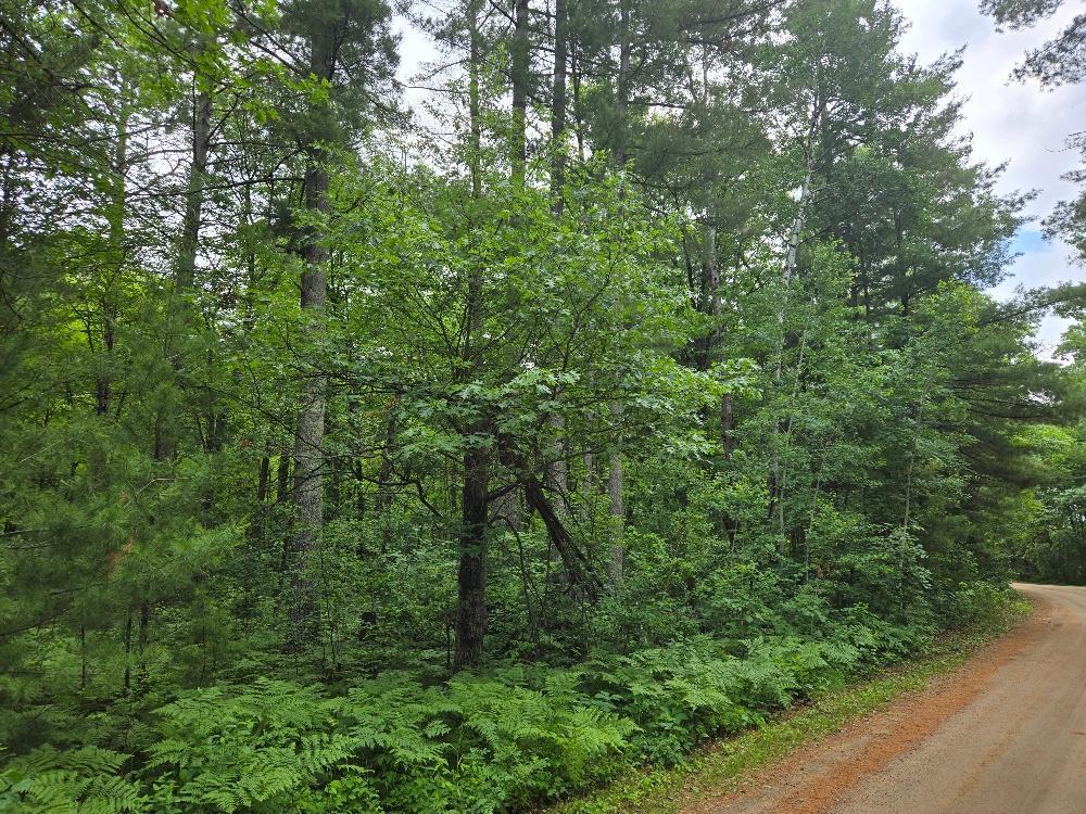 TBD Isle Harbor Drive, Federal Dam MN 56641 - Photo 3 of 14