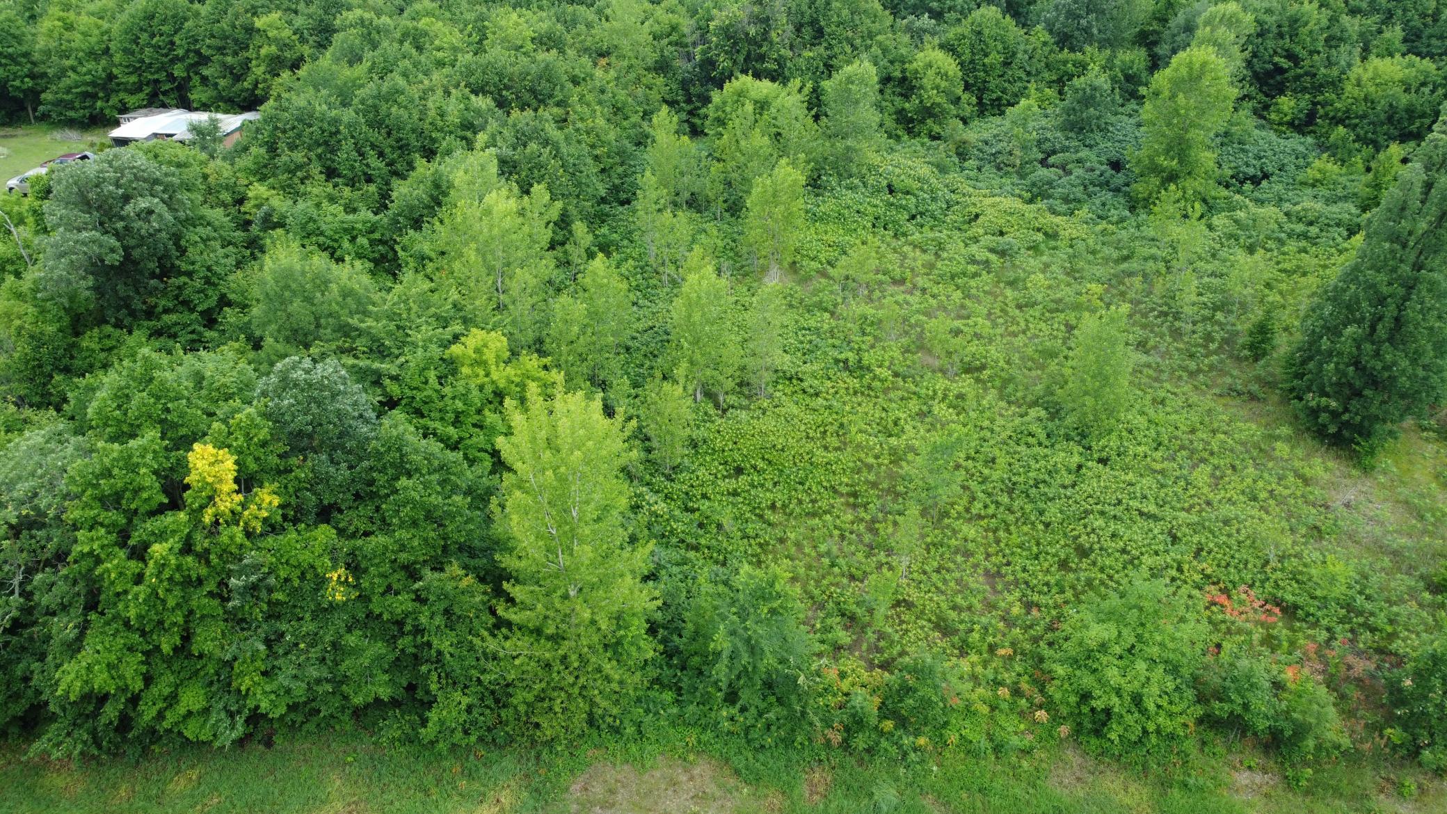 TBD Long Lake, Ottertail MN 56571 - Photo 5 of 15