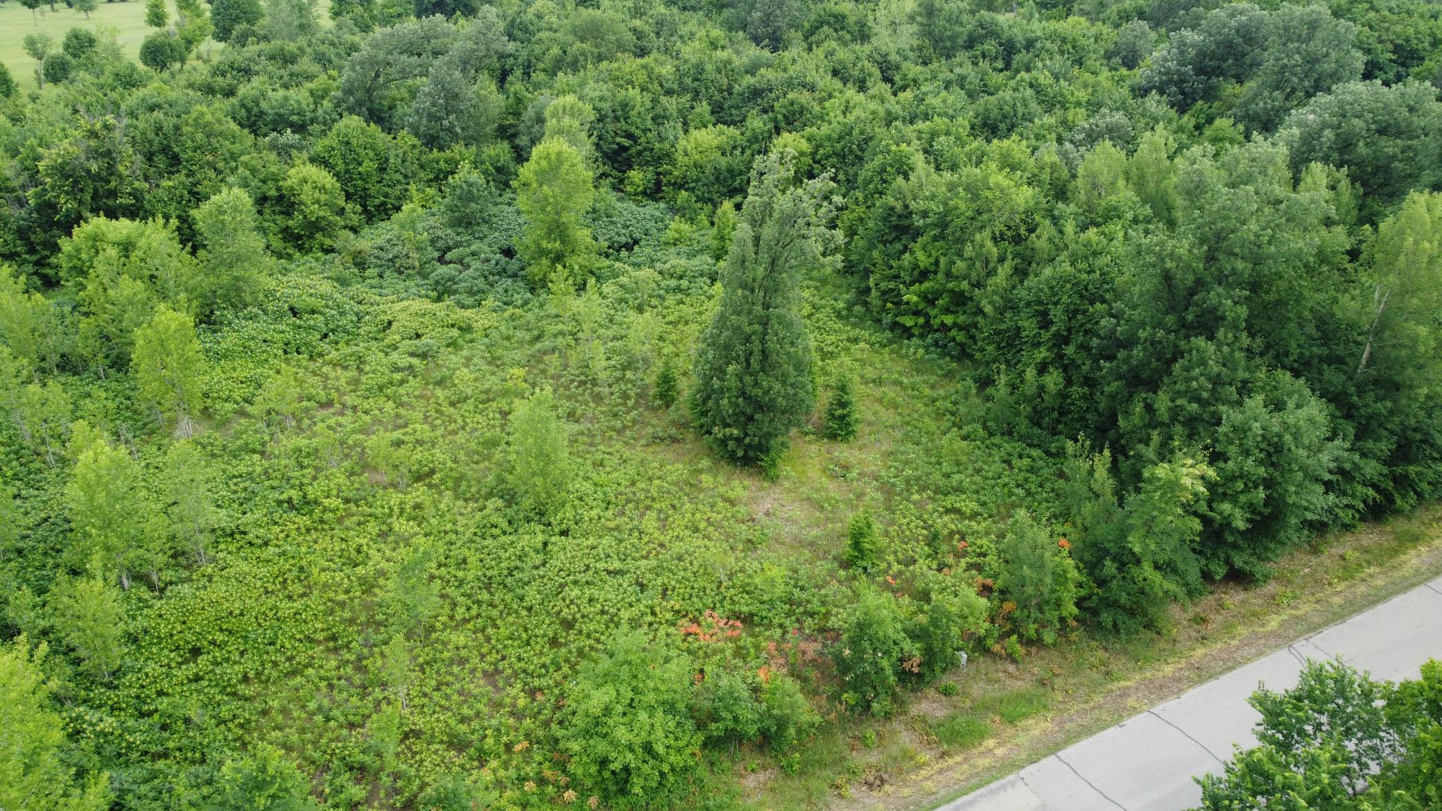 TBD Long Lake, Ottertail MN 56571 - Photo 7 of 15