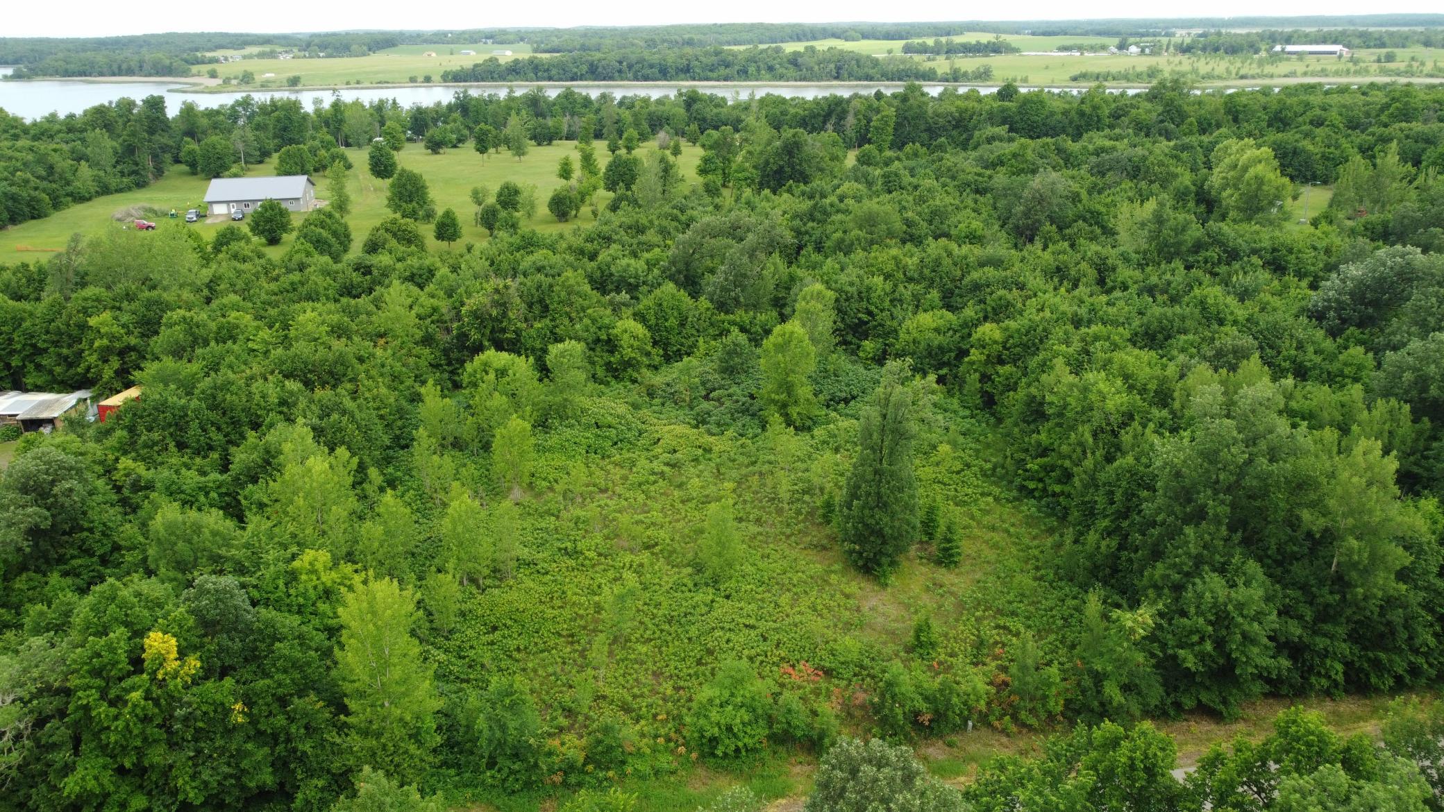 TBD Long Lake, Ottertail MN 56571 - Photo 8 of 15