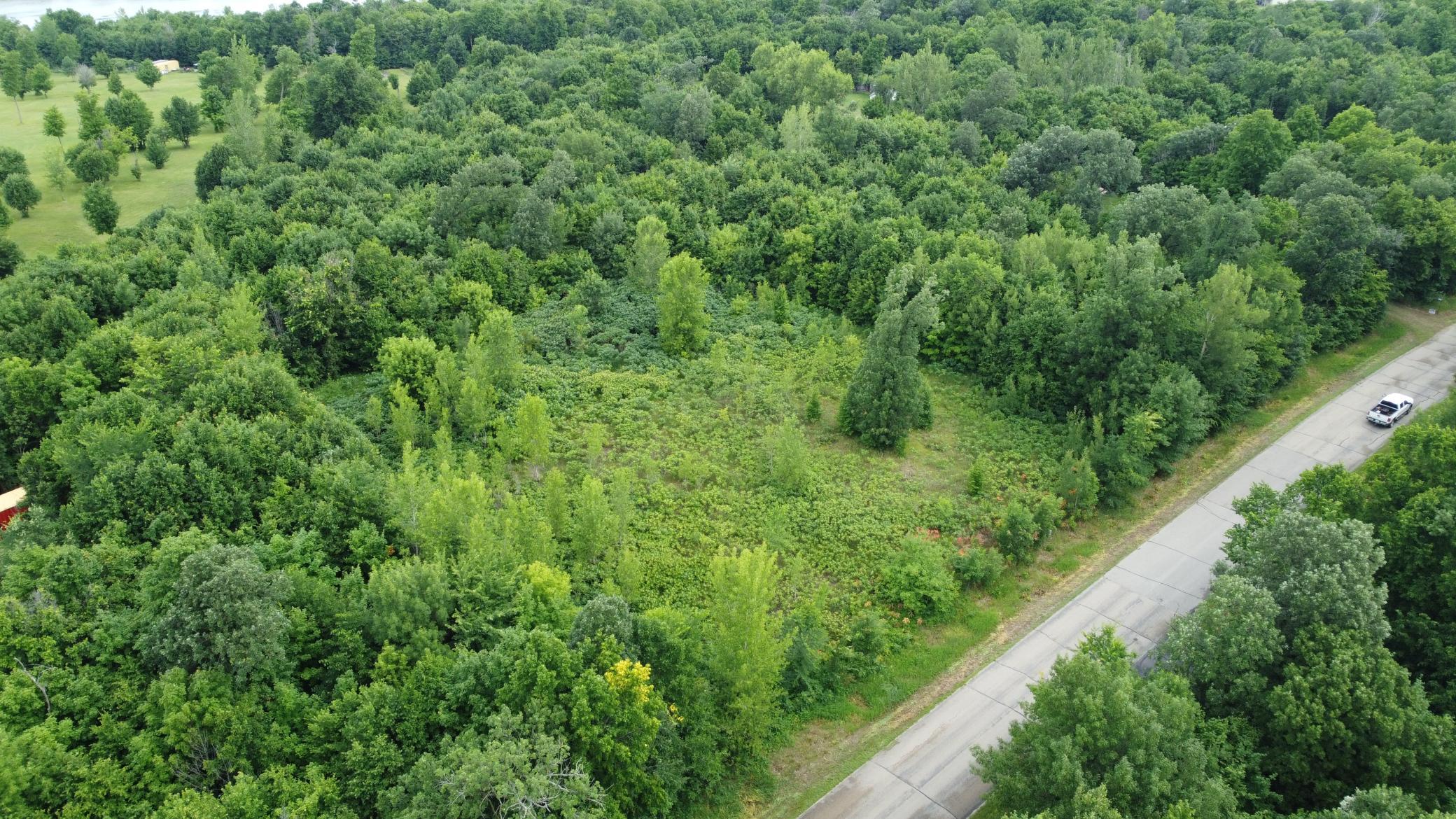 TBD Long Lake, Ottertail MN 56571 - Photo 9 of 15