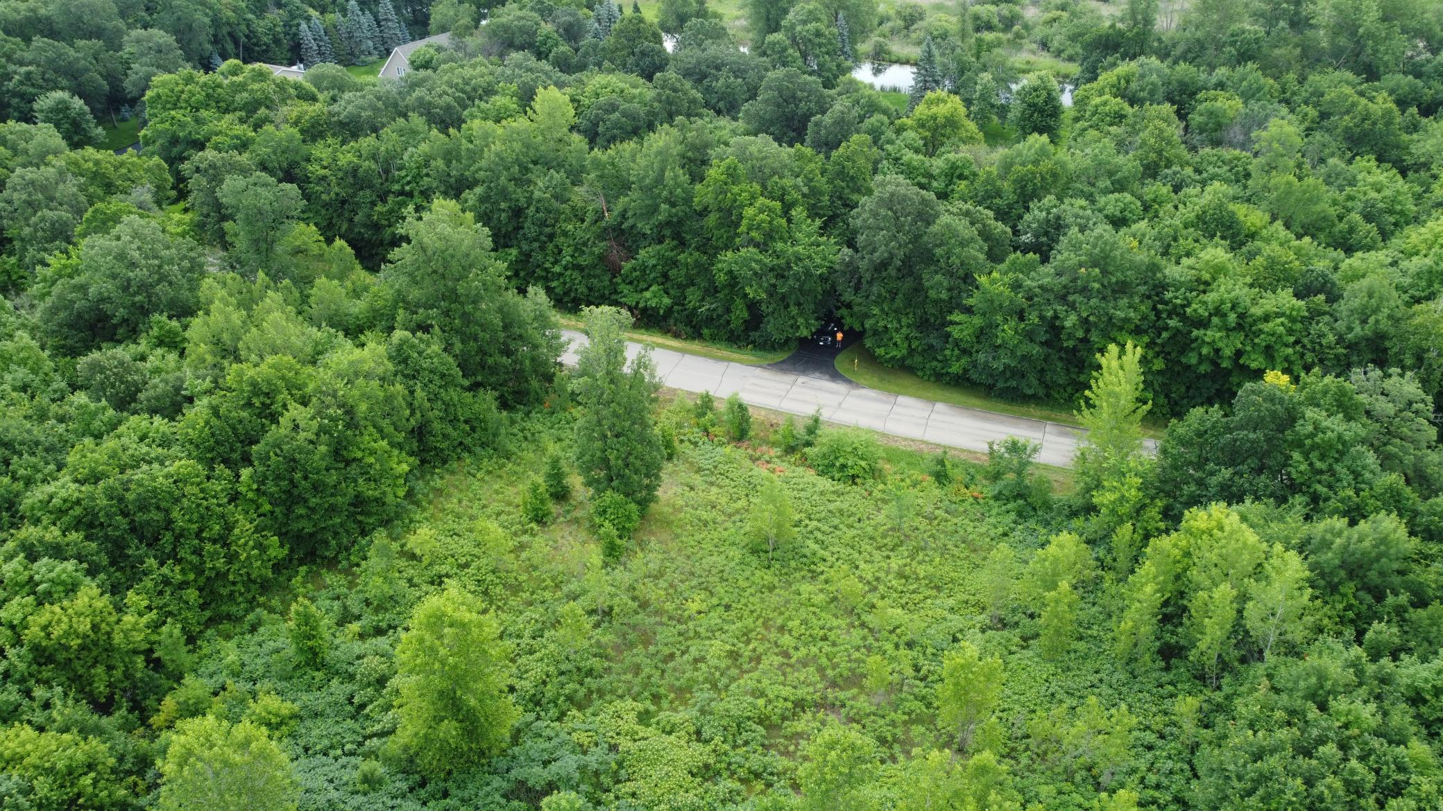 TBD Long Lake, Ottertail MN 56571 - Photo 10 of 15