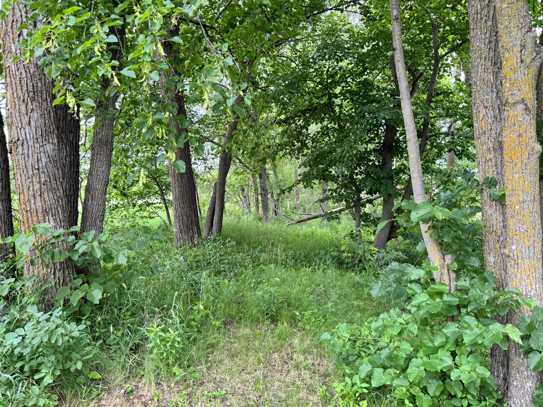 x Leaf River Road, Ottertail MN 56571 - Photo 28 of 29