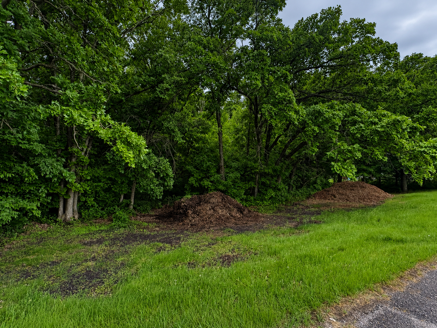 TBD W Lake Ida Lane, Pelican Rapids MN 56572 - Photo 20 of 21