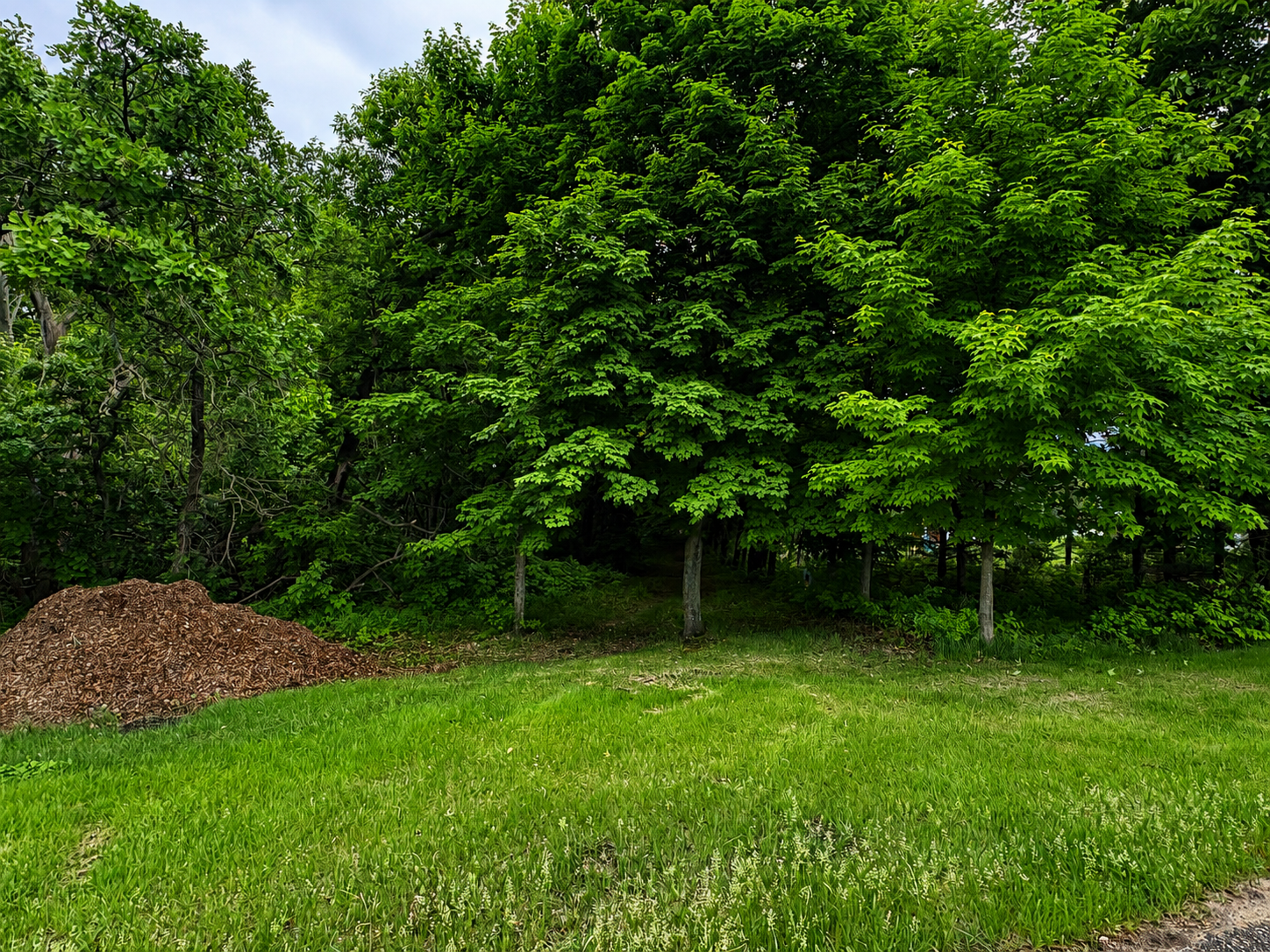 TBD W Lake Ida Lane, Pelican Rapids MN 56572 - Photo 21 of 21