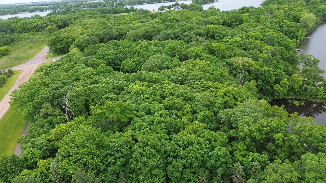 TBD W Lake Ida Lane, Pelican Rapids MN 56572 - Photo 8 of 21