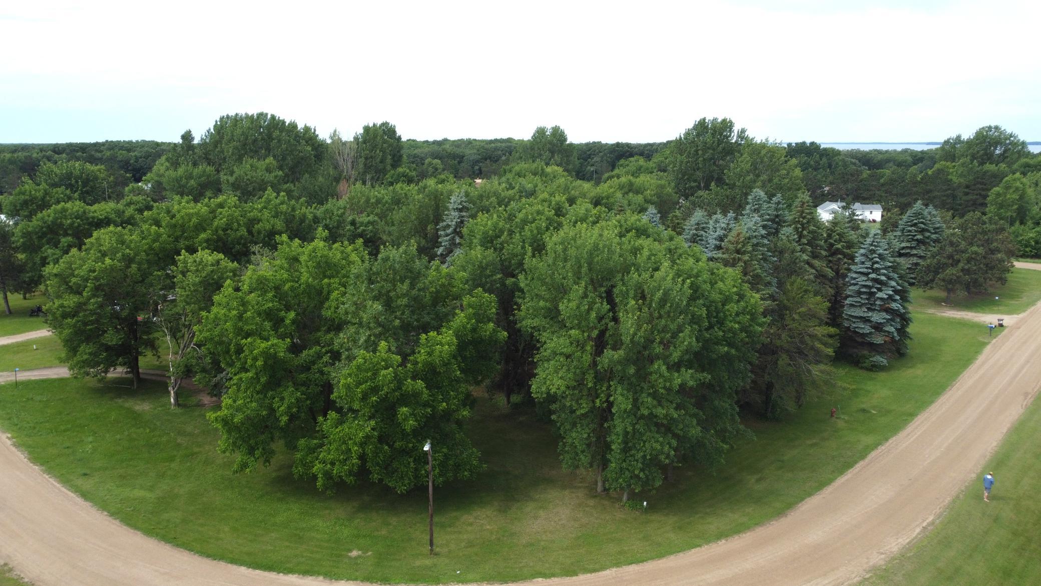 238 Park Circle, Ottertail MN 56571 - Photo 6 of 10