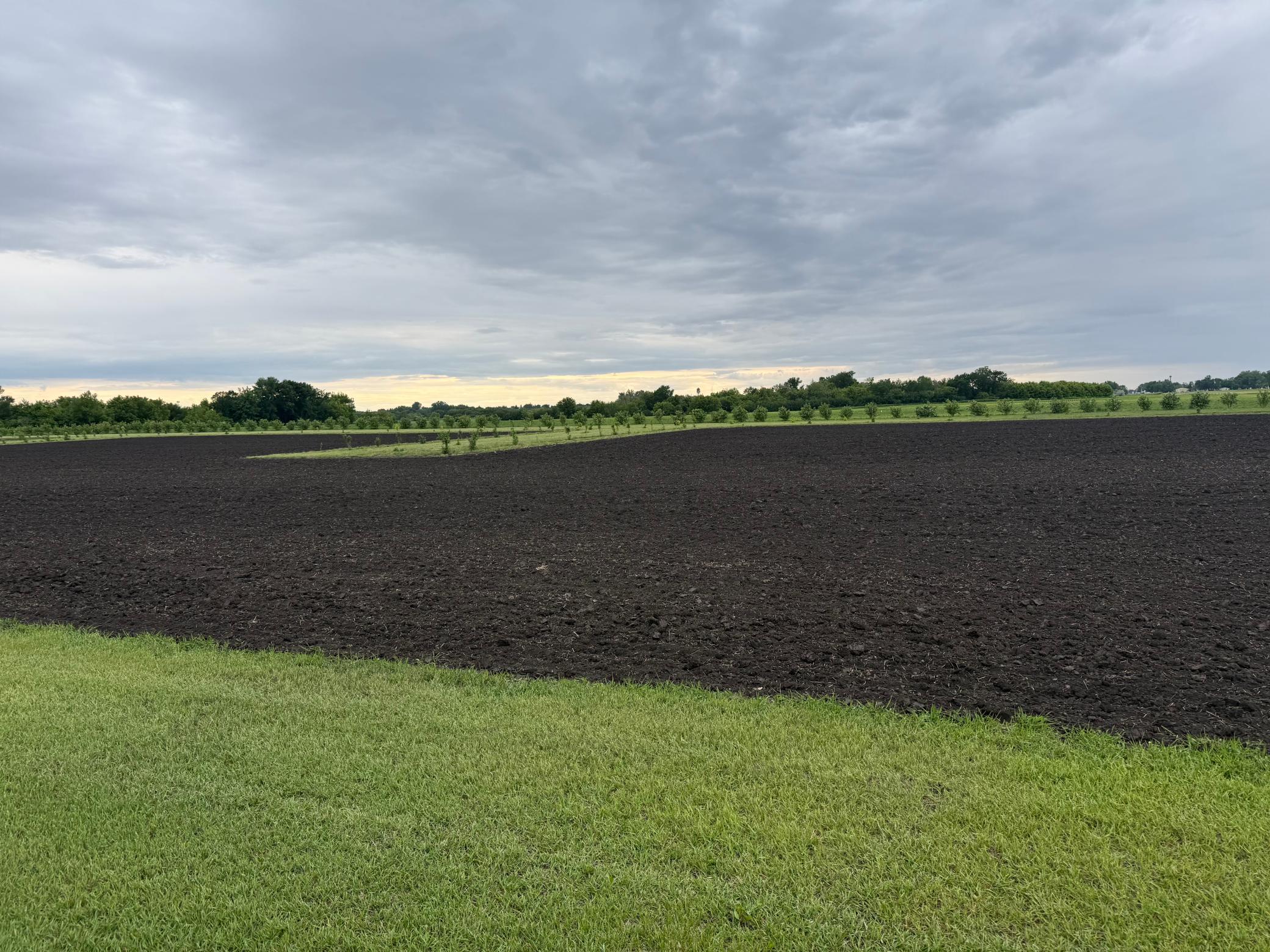 land for sale at TBD County Road 15 in Minto, ND (photo 2 of 5)