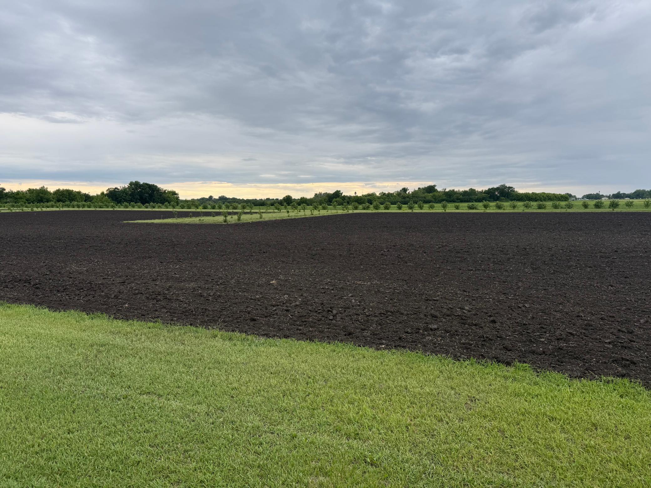 land for sale at TBD County Road 15 in Minto, ND (photo 3 of 5)