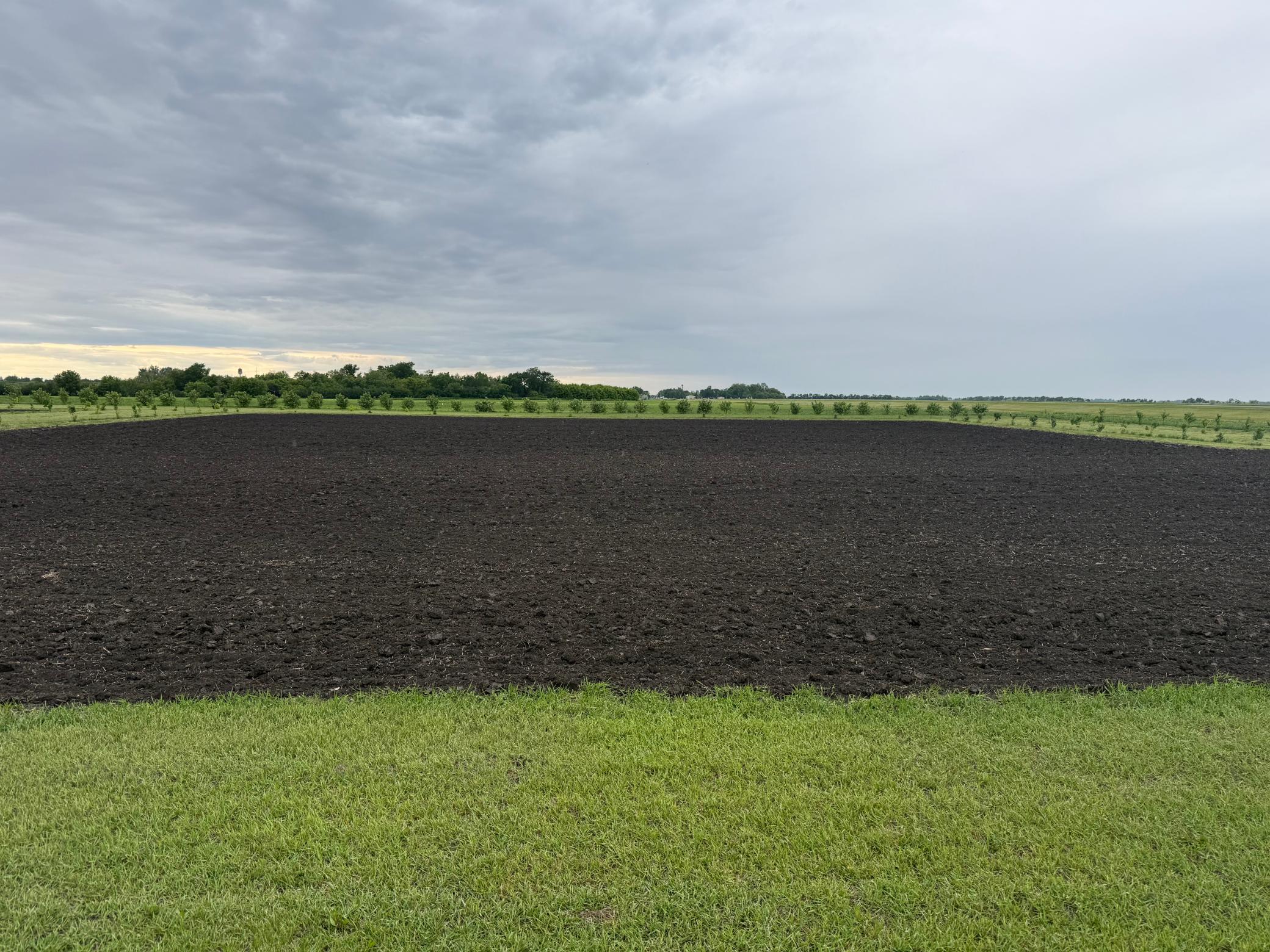 land for sale at TBD County Road 15 in Minto, ND (photo 4 of 5)