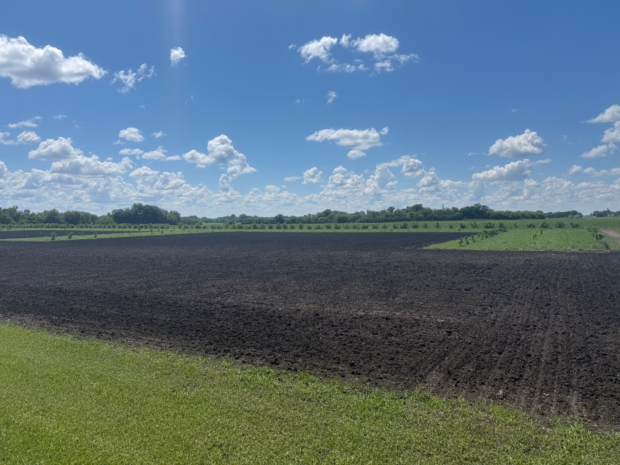 land for sale at TBD County Road 15 in Minto, ND (photo 5 of 5)