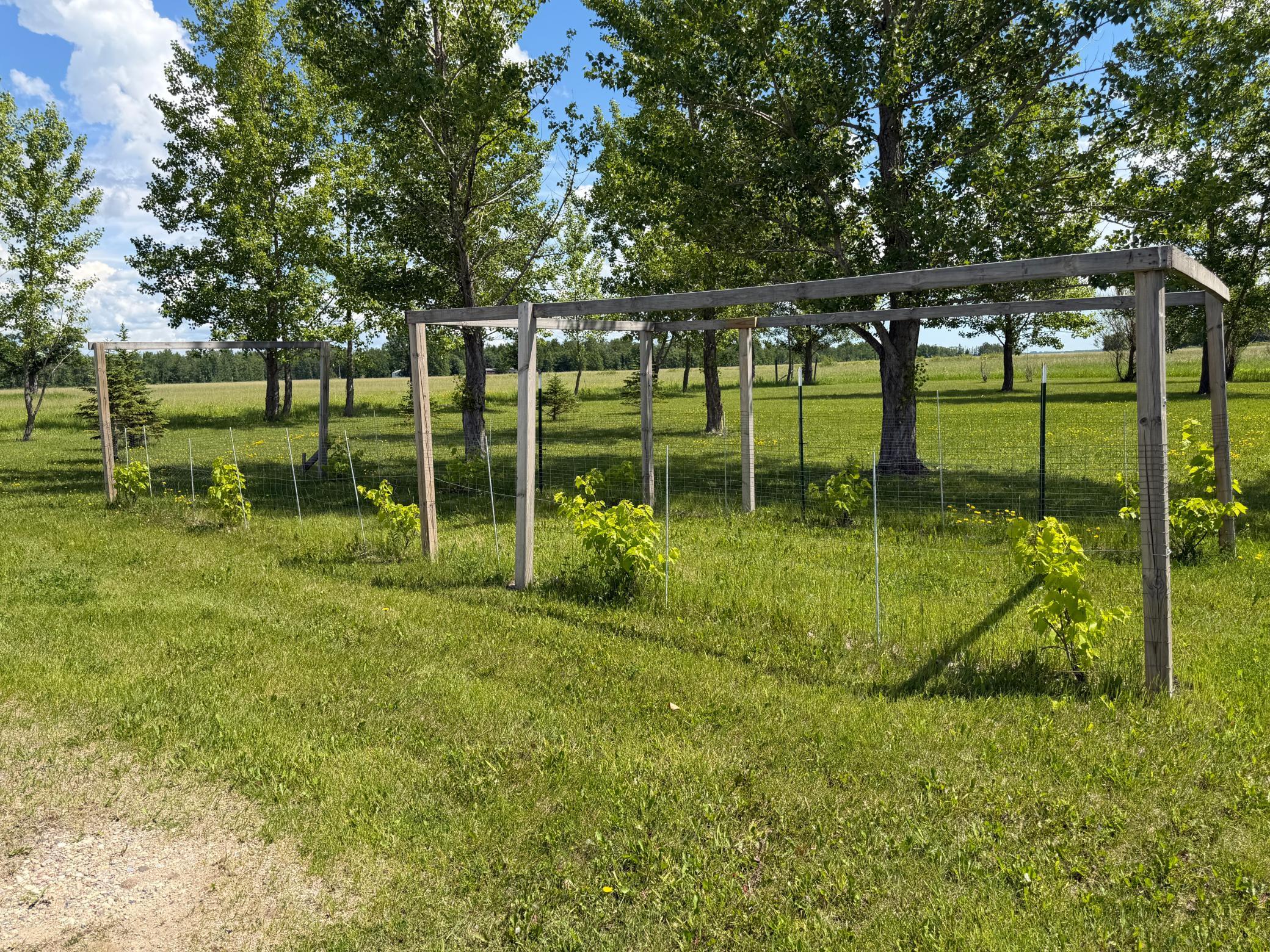 26790 County Road 15, Roseau MN 56751 - Photo 28 of 33
