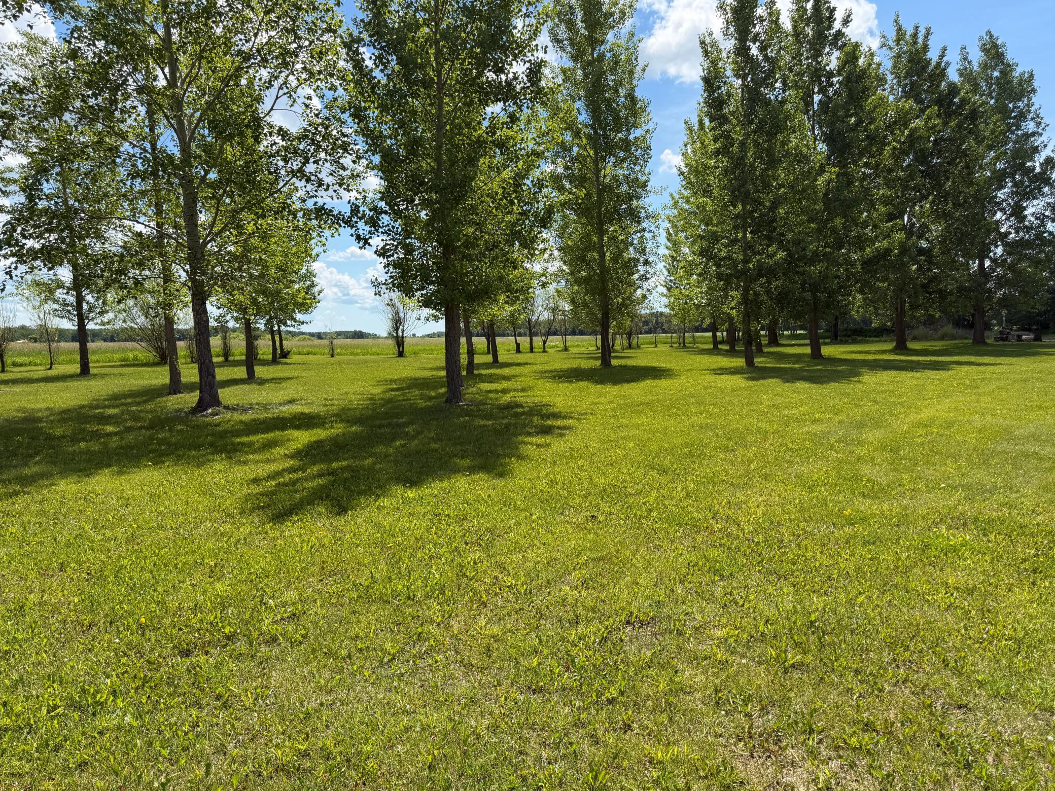 26790 County Road 15, Roseau MN 56751 - Photo 33 of 33