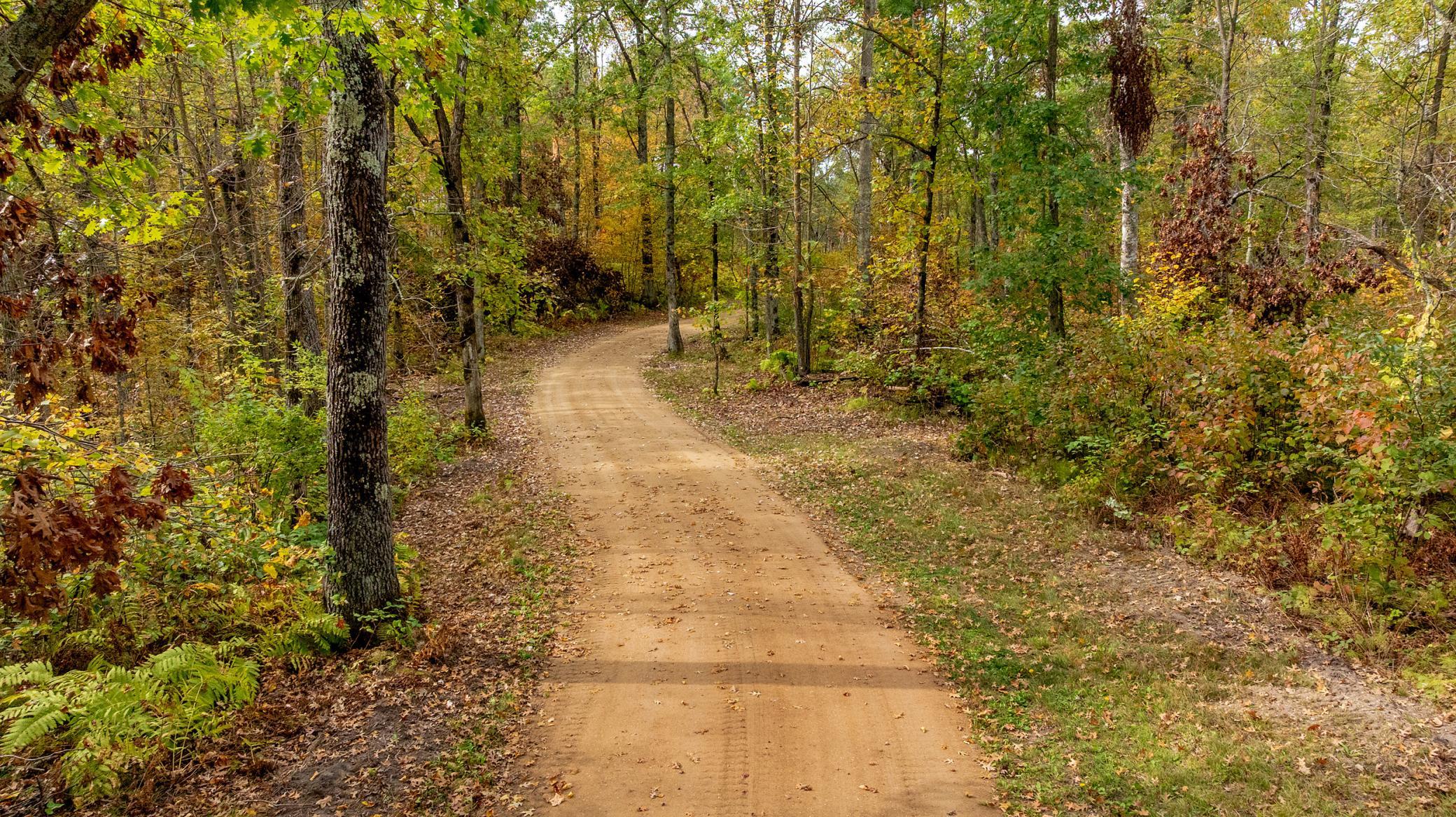 Lot 2 Turtle Bay Trail, Crosby MN 56441 - Photo 4 of 4