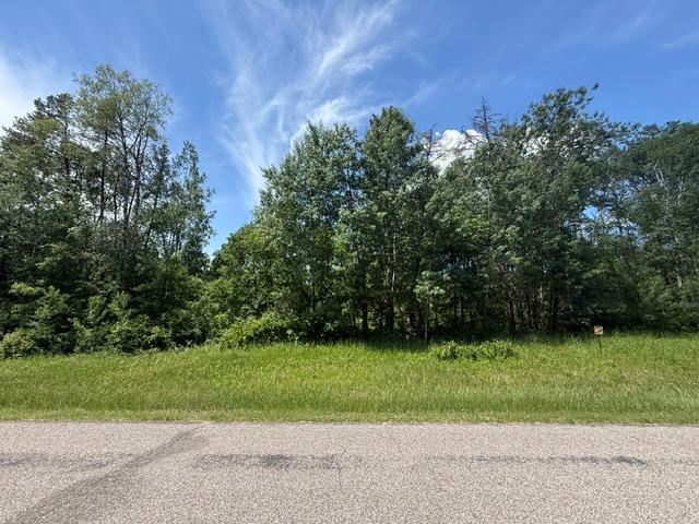5 Ranchette Drive, Breezy Point MN 56472 - Photo 5 of 7
