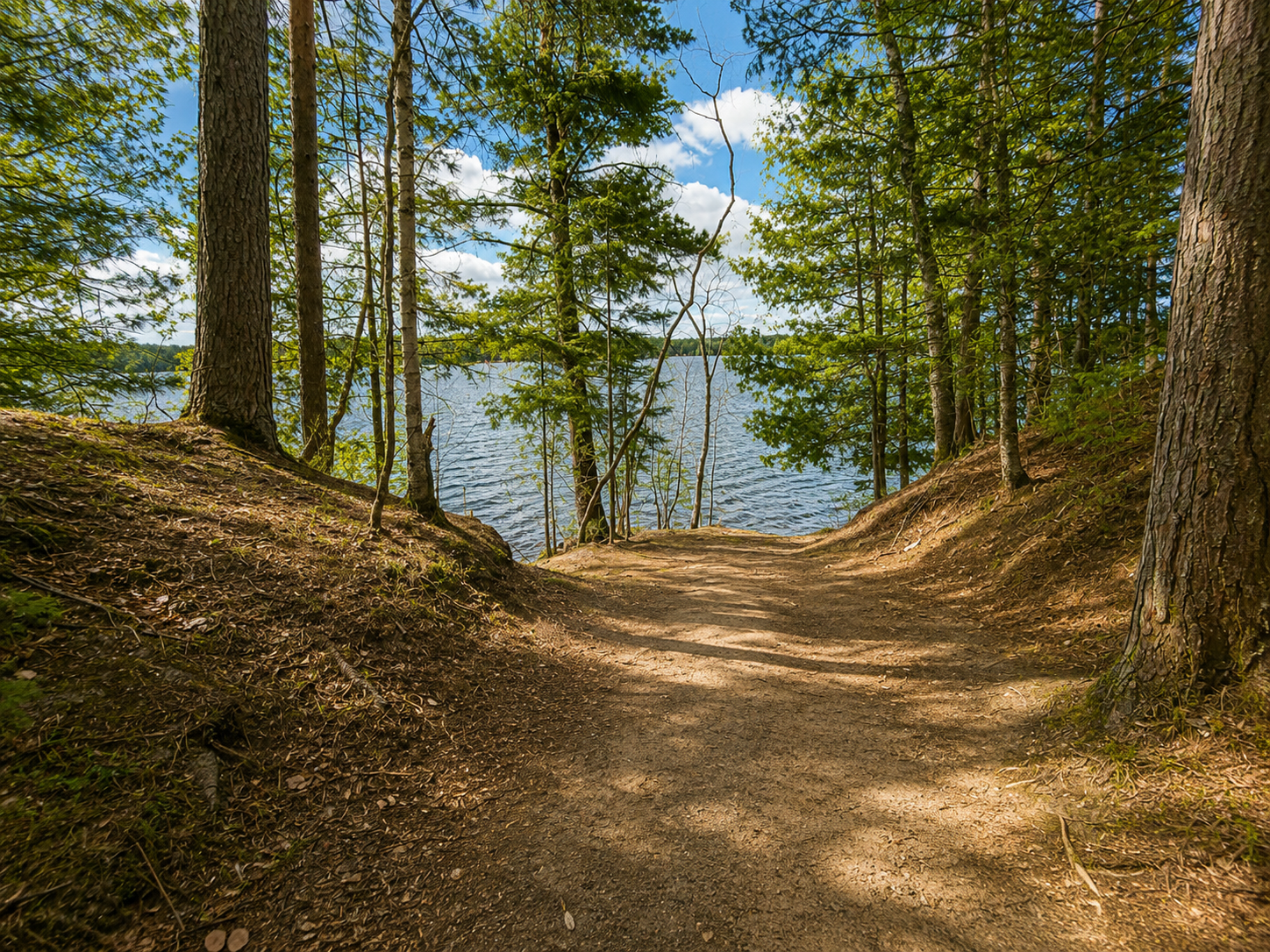 land for sale at 4 Windago Heights in Grand Rapids, MN (photo 4 of 18)
