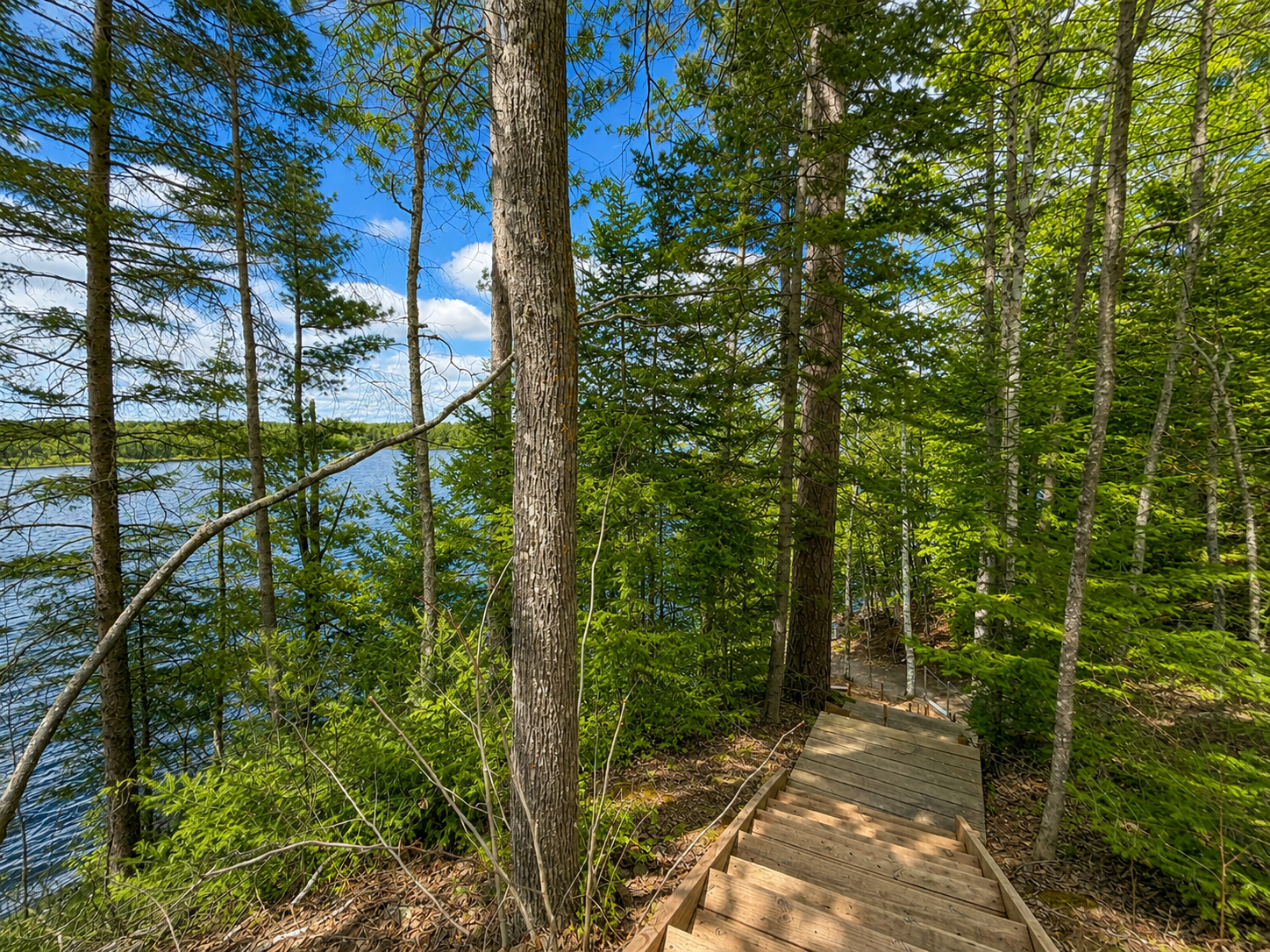 land for sale at 4 Windago Heights in Grand Rapids, MN (photo 6 of 18)