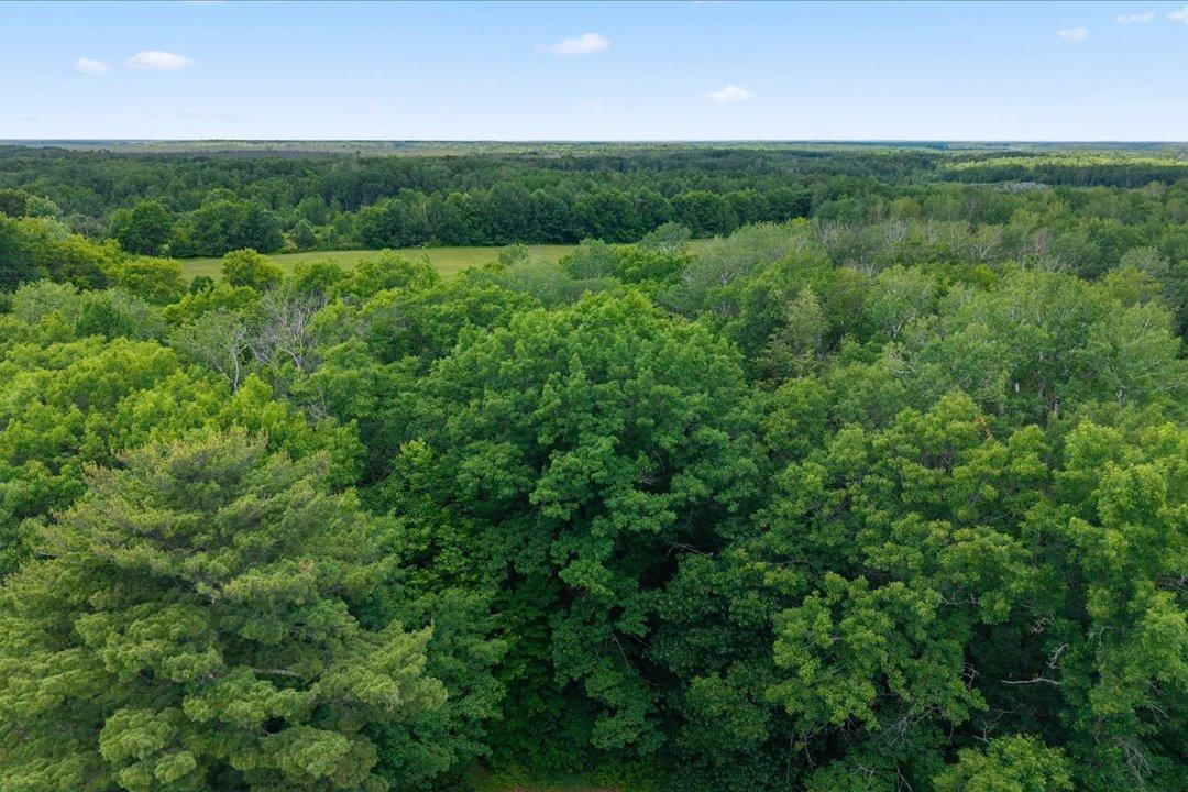 31750 370th Street, Aitkin MN 56431 - Photo 20 of 40