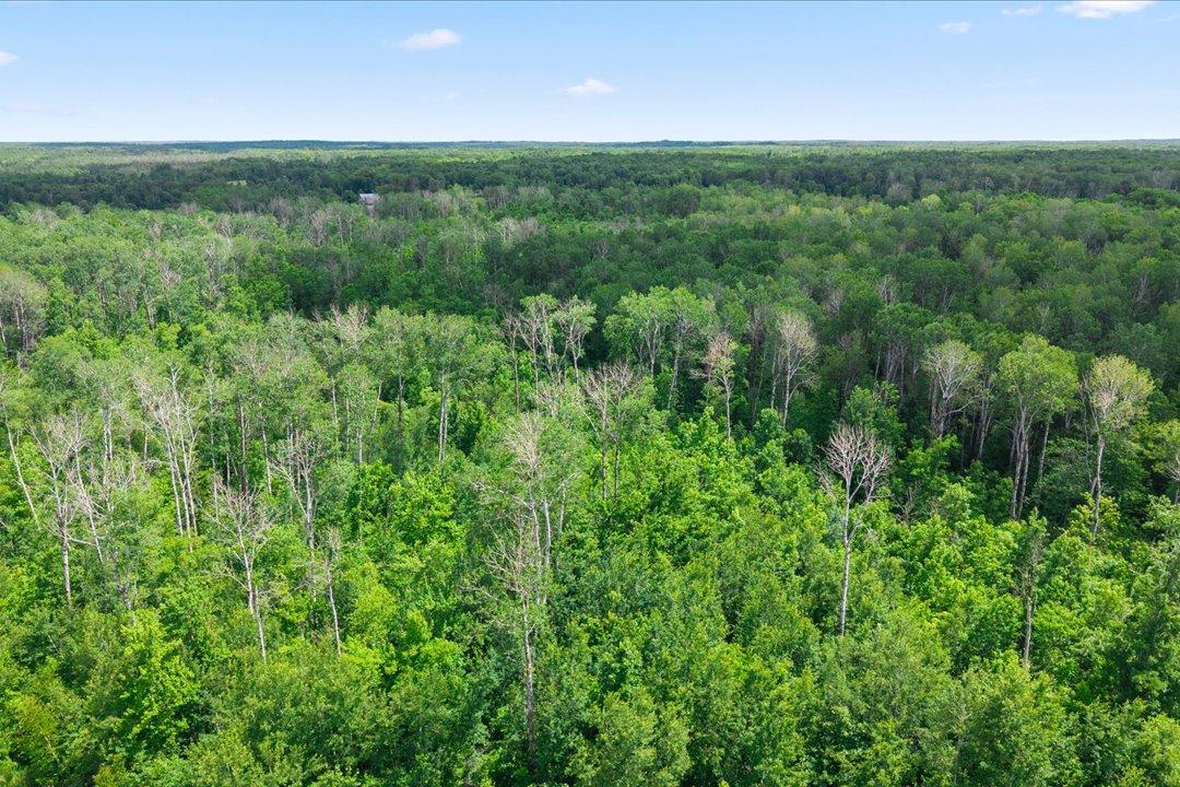 31750 370th Street, Aitkin MN 56431 - Photo 33 of 40