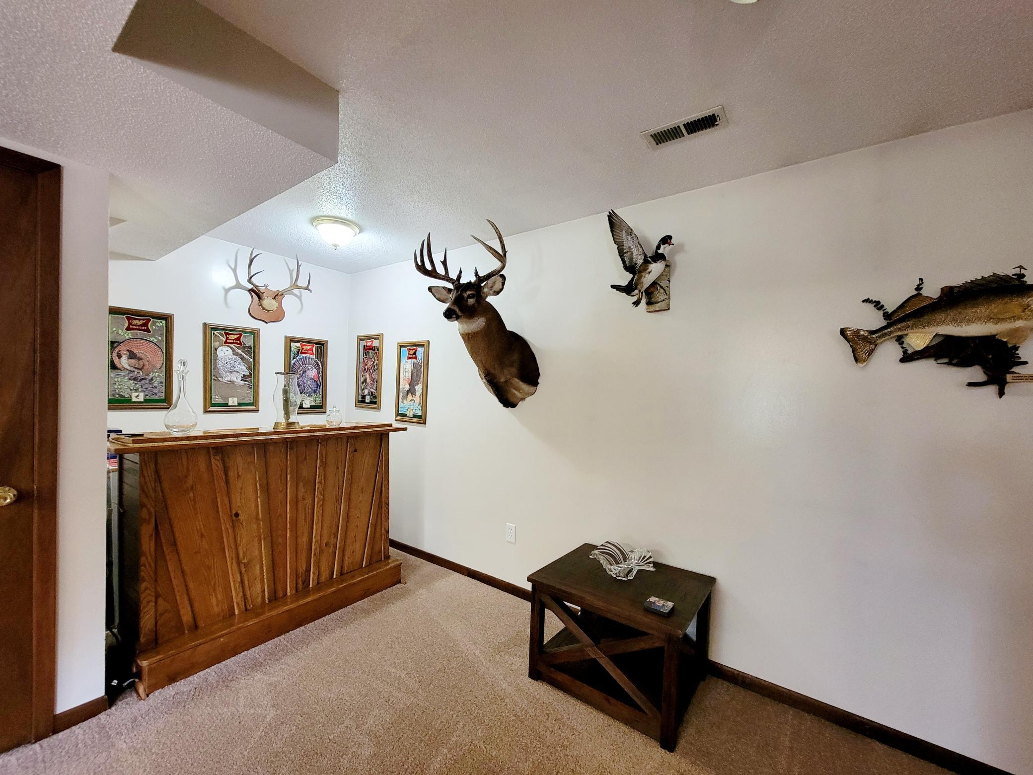 40130 460th Avenue, Perham MN 56573 - Photo 7 of 45
