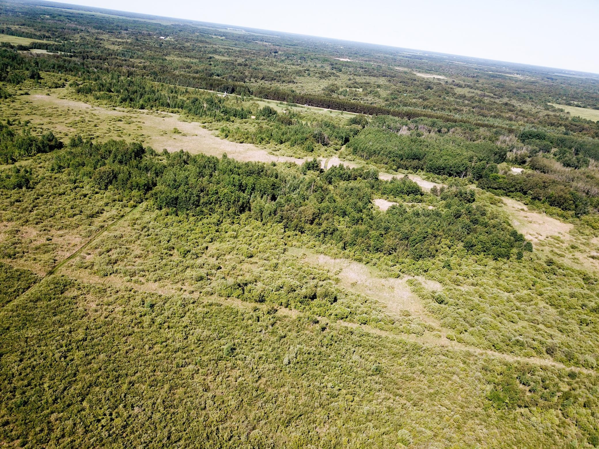 land for sale at TBD 440th Avenue in Wannaska, MN (photo 11 of 80)