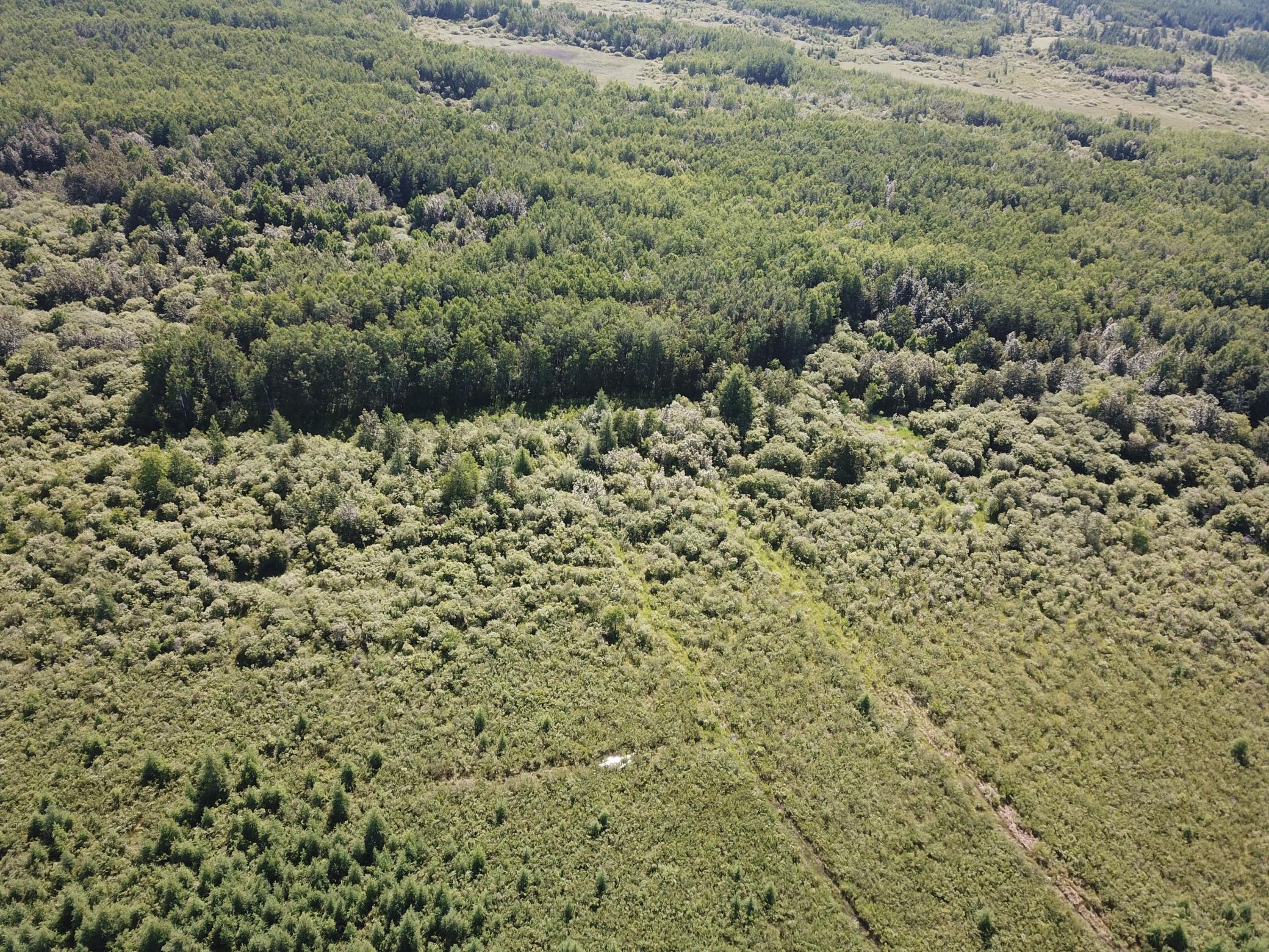 land for sale at TBD 440th Avenue in Wannaska, MN (photo 13 of 80)