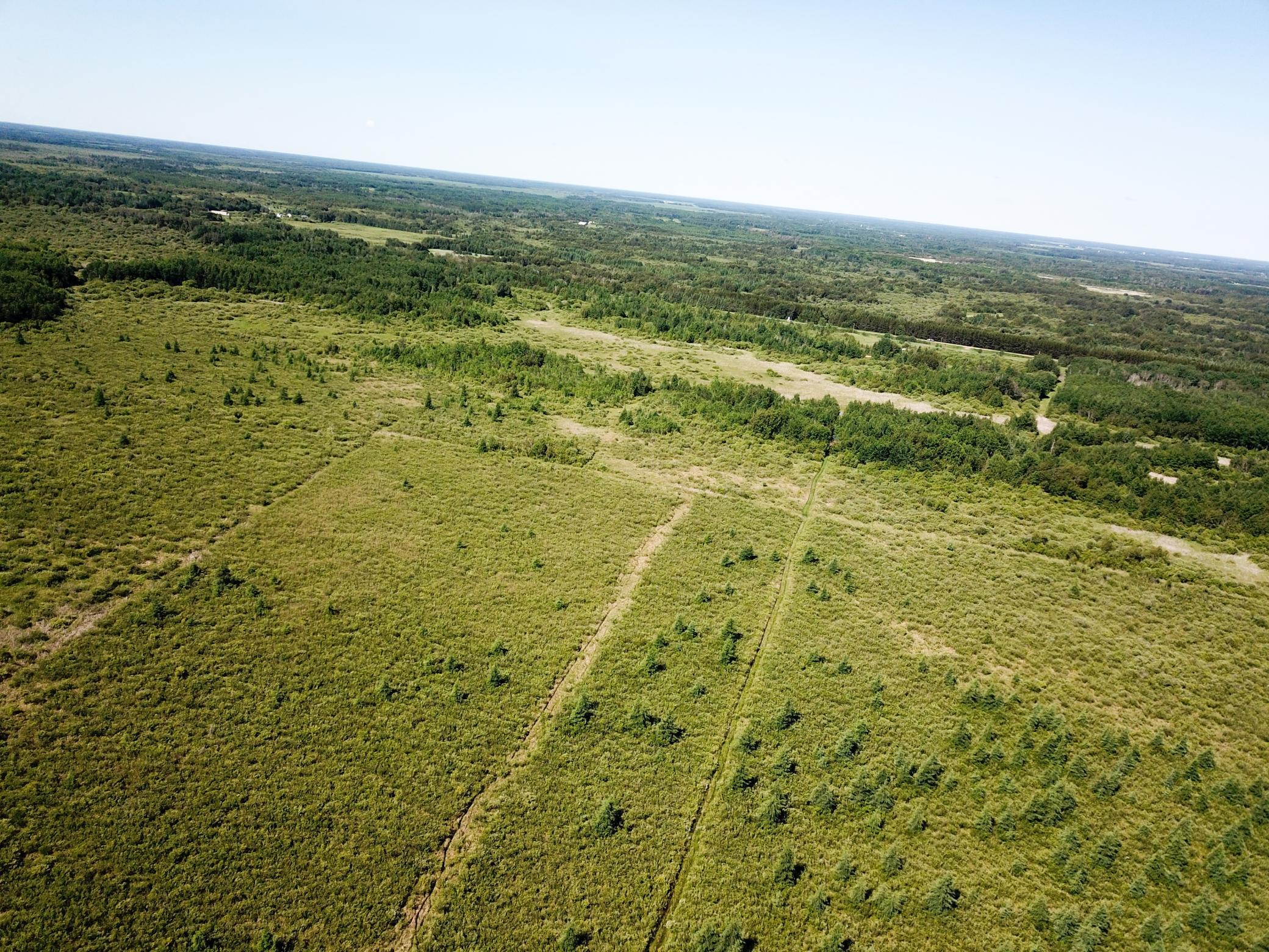 land for sale at TBD 440th Avenue in Wannaska, MN (photo 14 of 80)