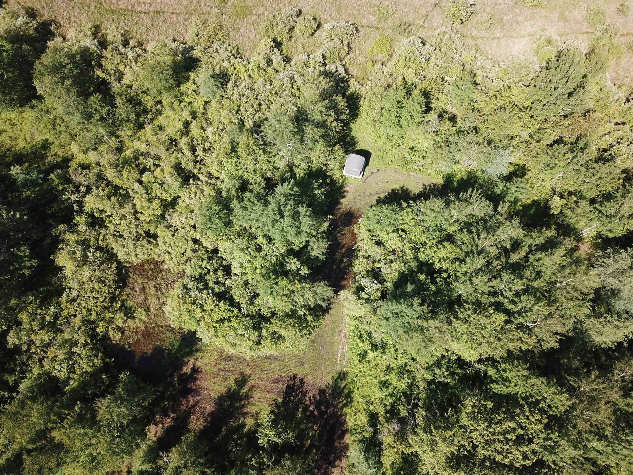 land for sale at TBD 440th Avenue in Wannaska, MN (photo 19 of 80)