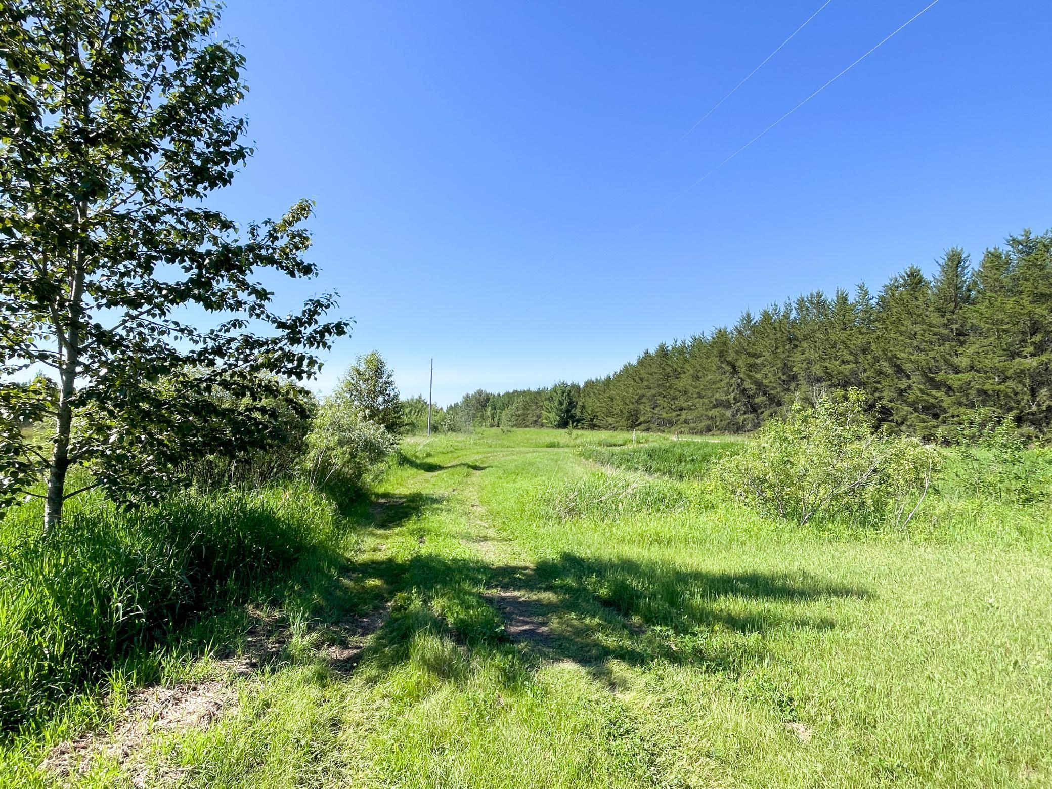 land for sale at TBD 440th Avenue in Wannaska, MN (photo 23 of 80)