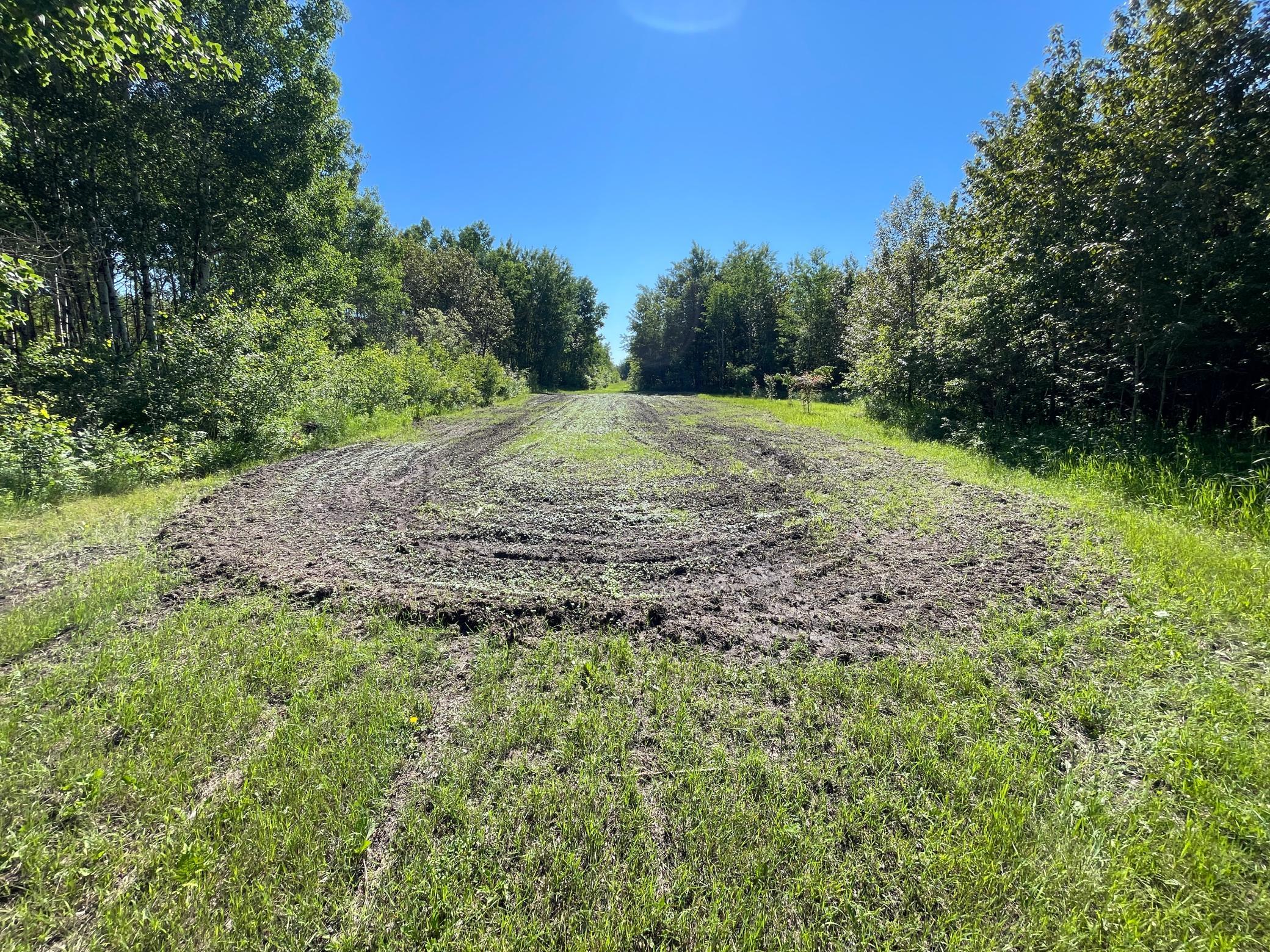 land for sale at TBD 440th Avenue in Wannaska, MN (photo 33 of 80)