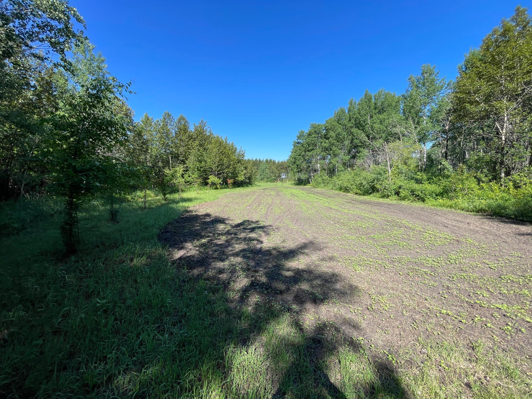 land for sale at TBD 440th Avenue in Wannaska, MN (photo 35 of 80)