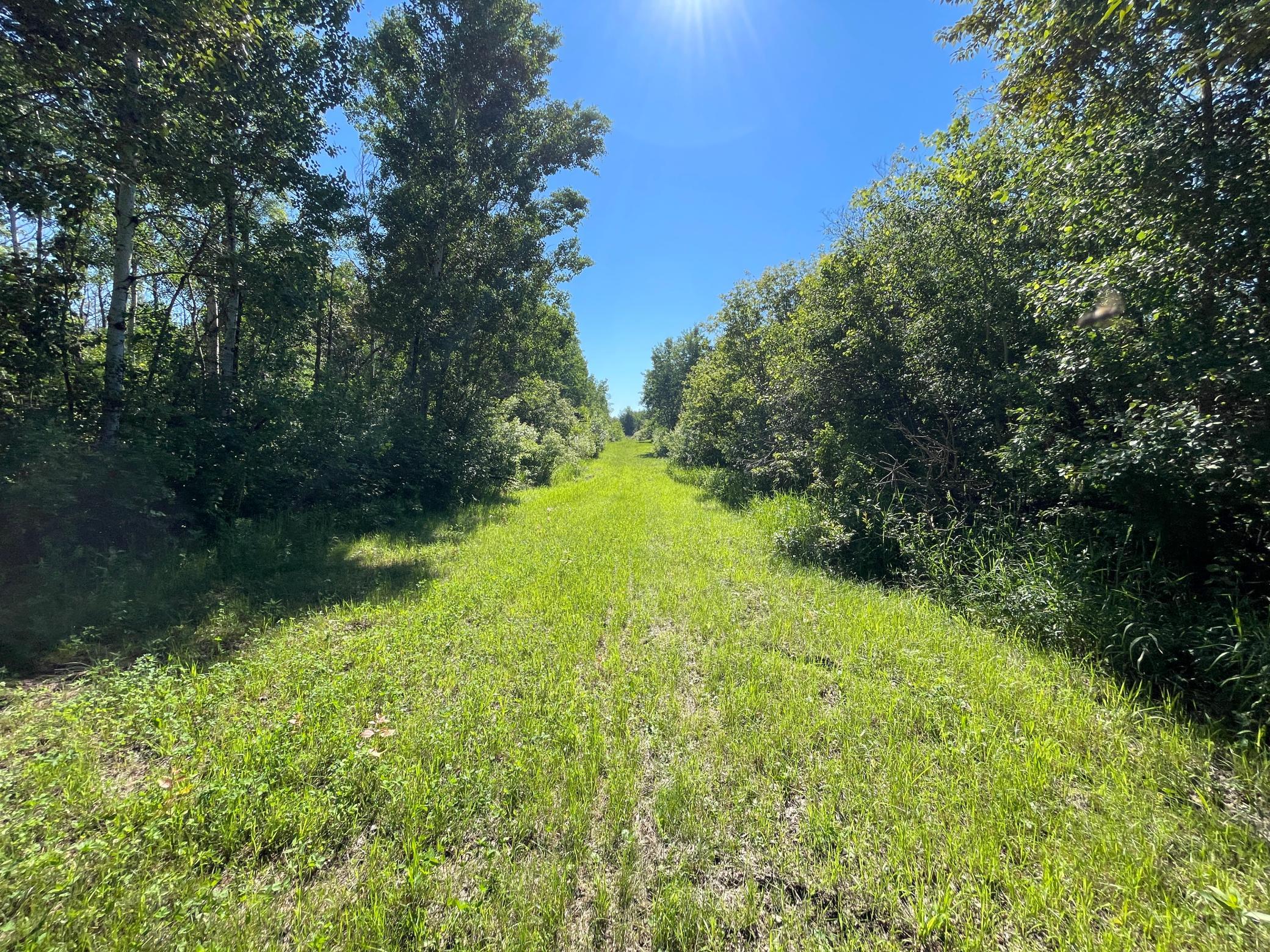 land for sale at TBD 440th Avenue in Wannaska, MN (photo 36 of 80)