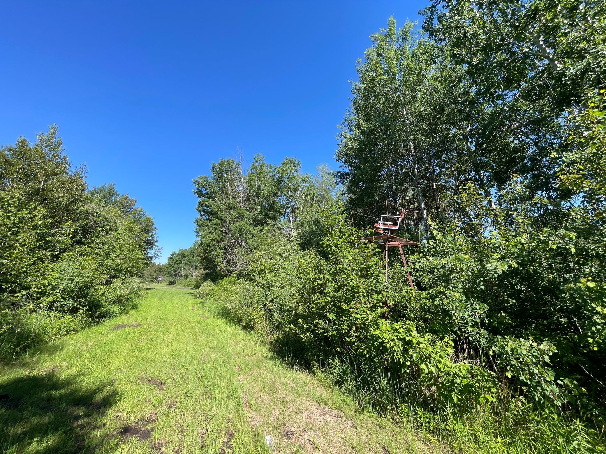land for sale at TBD 440th Avenue in Wannaska, MN (photo 37 of 80)