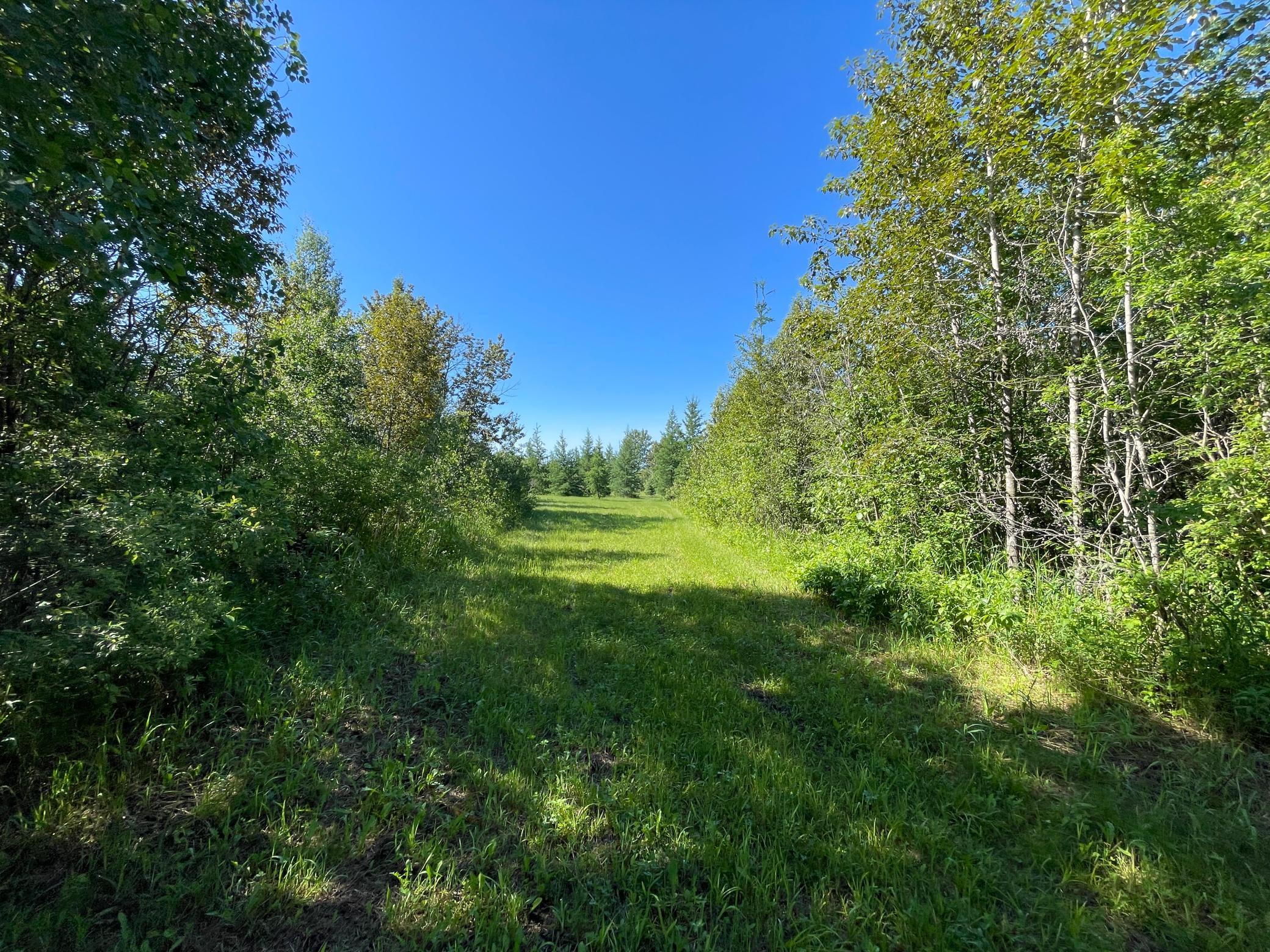 land for sale at TBD 440th Avenue in Wannaska, MN (photo 38 of 80)