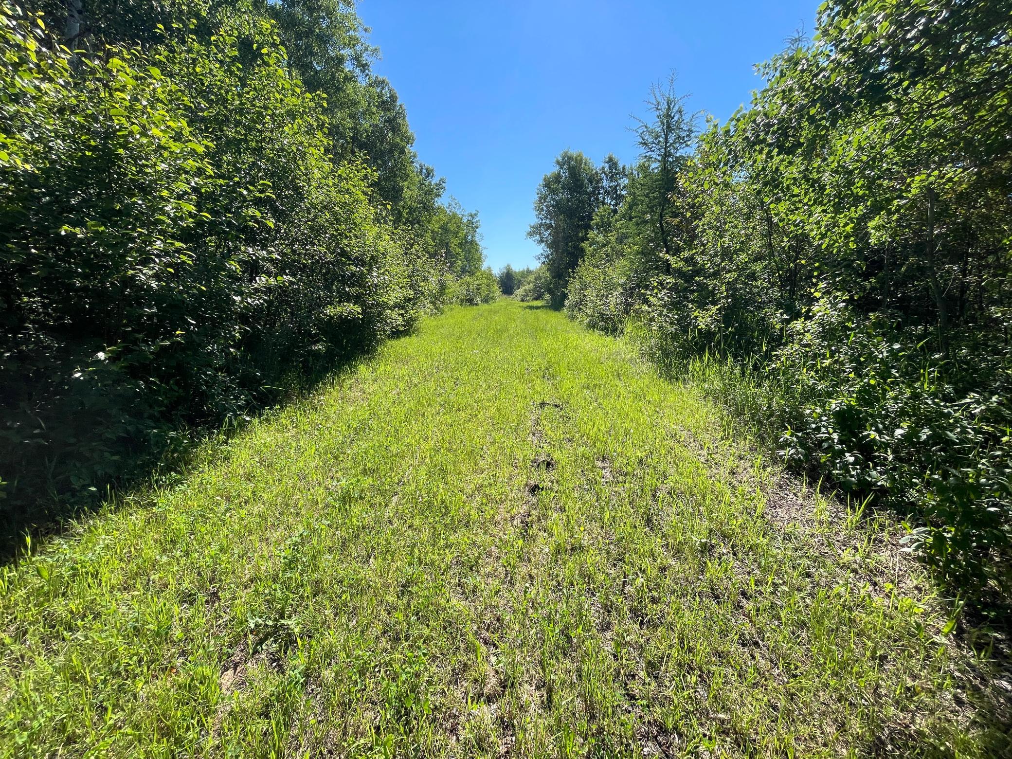 land for sale at TBD 440th Avenue in Wannaska, MN (photo 39 of 80)