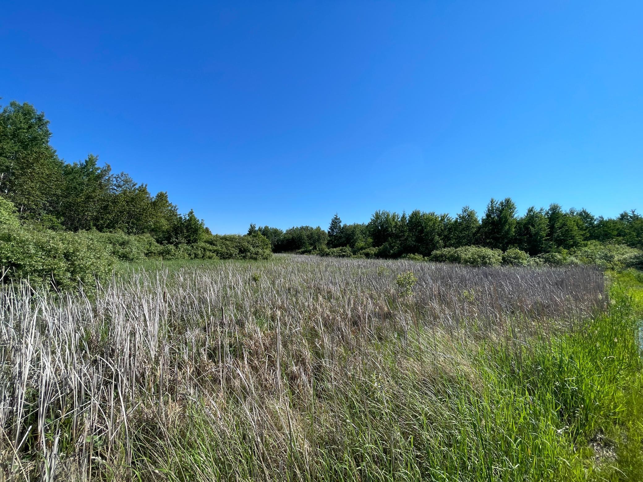 land for sale at TBD 440th Avenue in Wannaska, MN (photo 40 of 80)