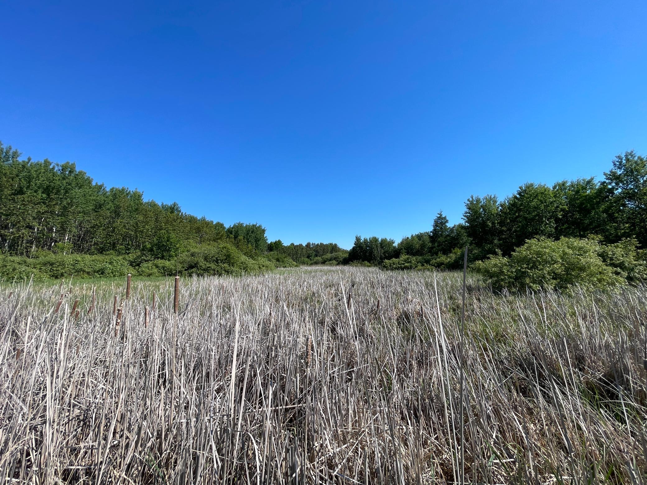 land for sale at TBD 440th Avenue in Wannaska, MN (photo 41 of 80)