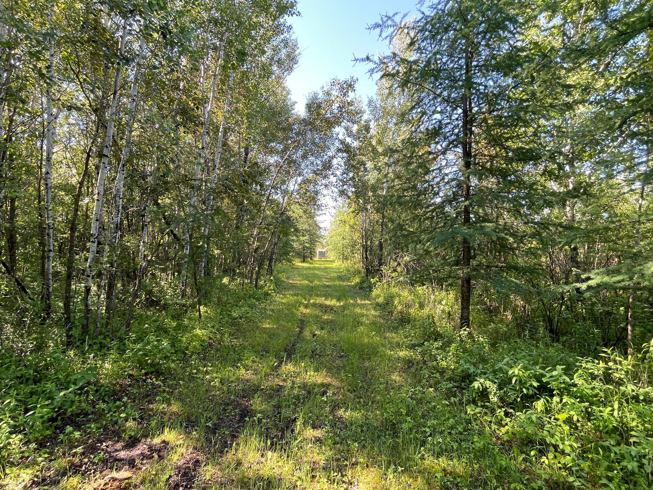 land for sale at TBD 440th Avenue in Wannaska, MN (photo 43 of 80)