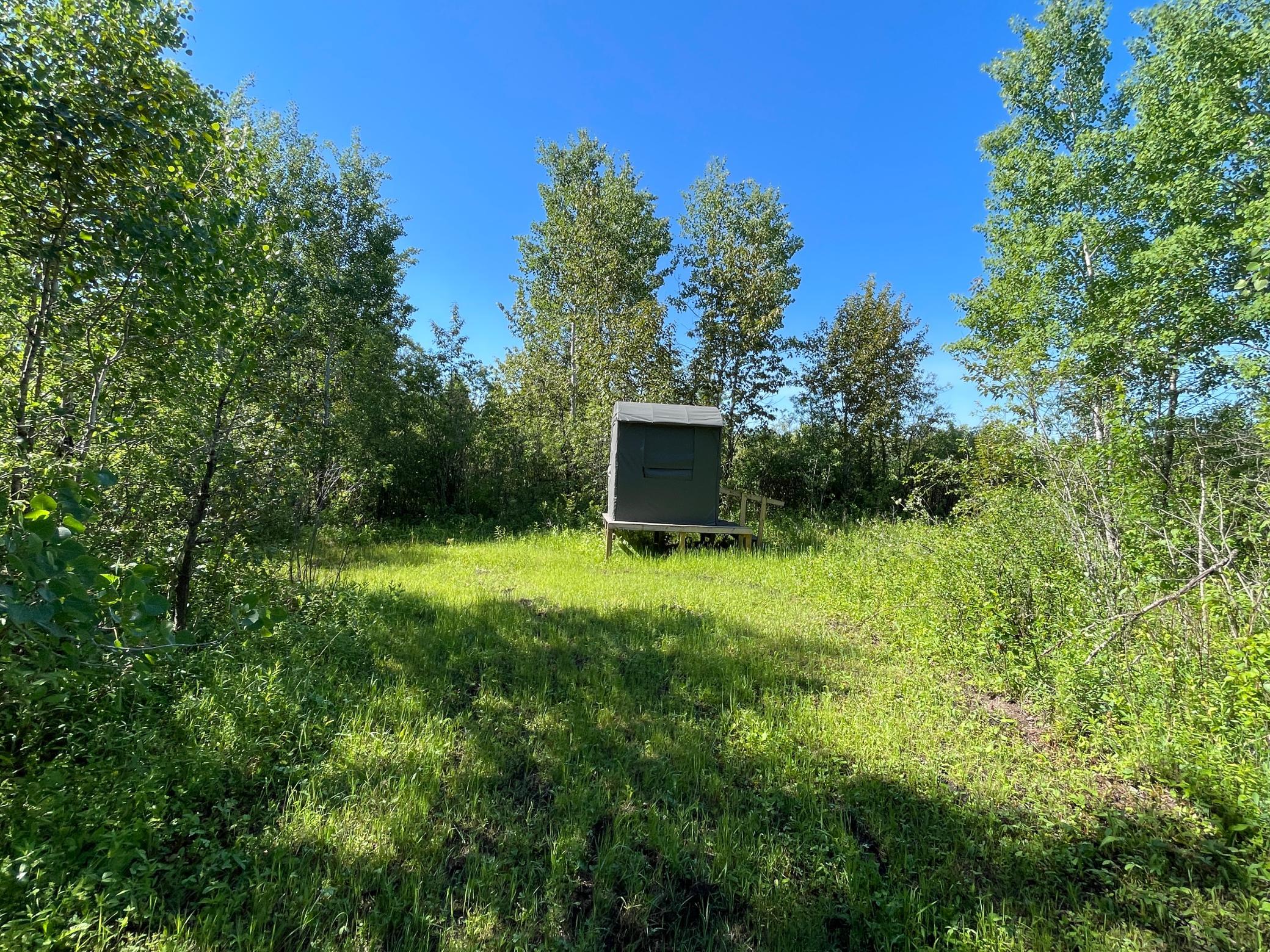land for sale at TBD 440th Avenue in Wannaska, MN (photo 44 of 80)