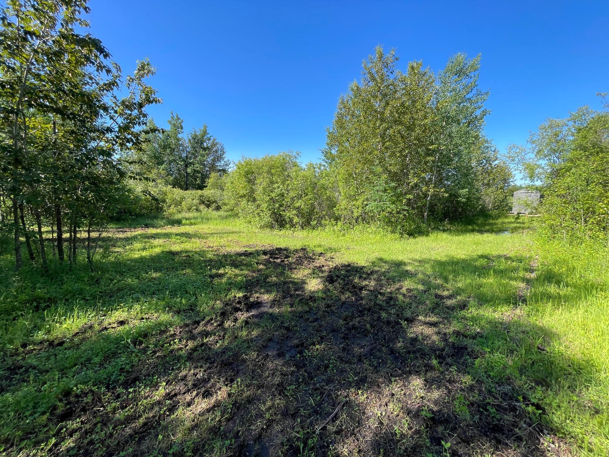 land for sale at TBD 440th Avenue in Wannaska, MN (photo 47 of 80)