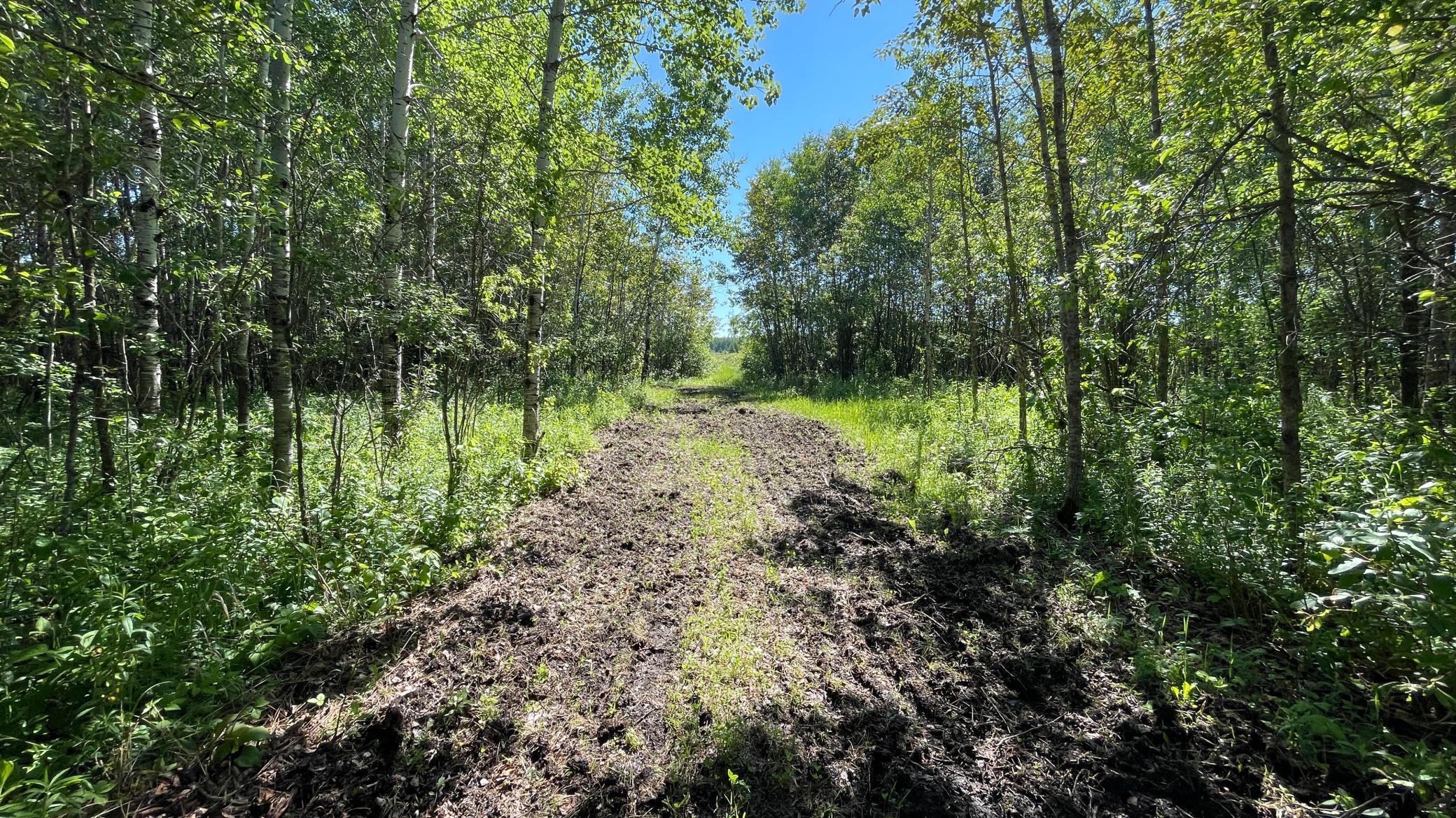 land for sale at TBD 440th Avenue in Wannaska, MN (photo 48 of 80)