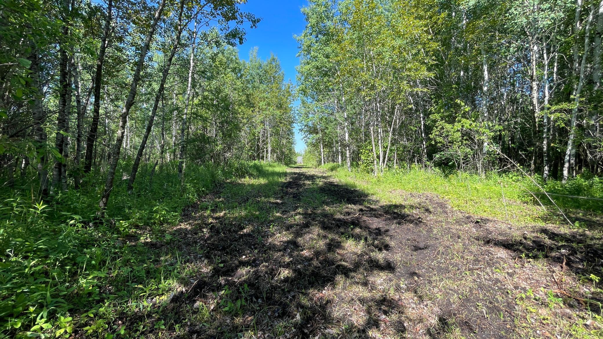 land for sale at TBD 440th Avenue in Wannaska, MN (photo 50 of 80)