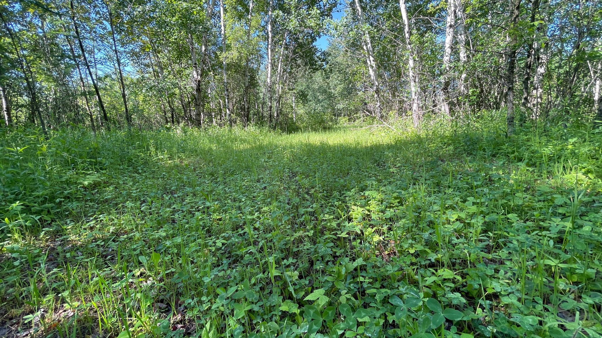 land for sale at TBD 440th Avenue in Wannaska, MN (photo 51 of 80)