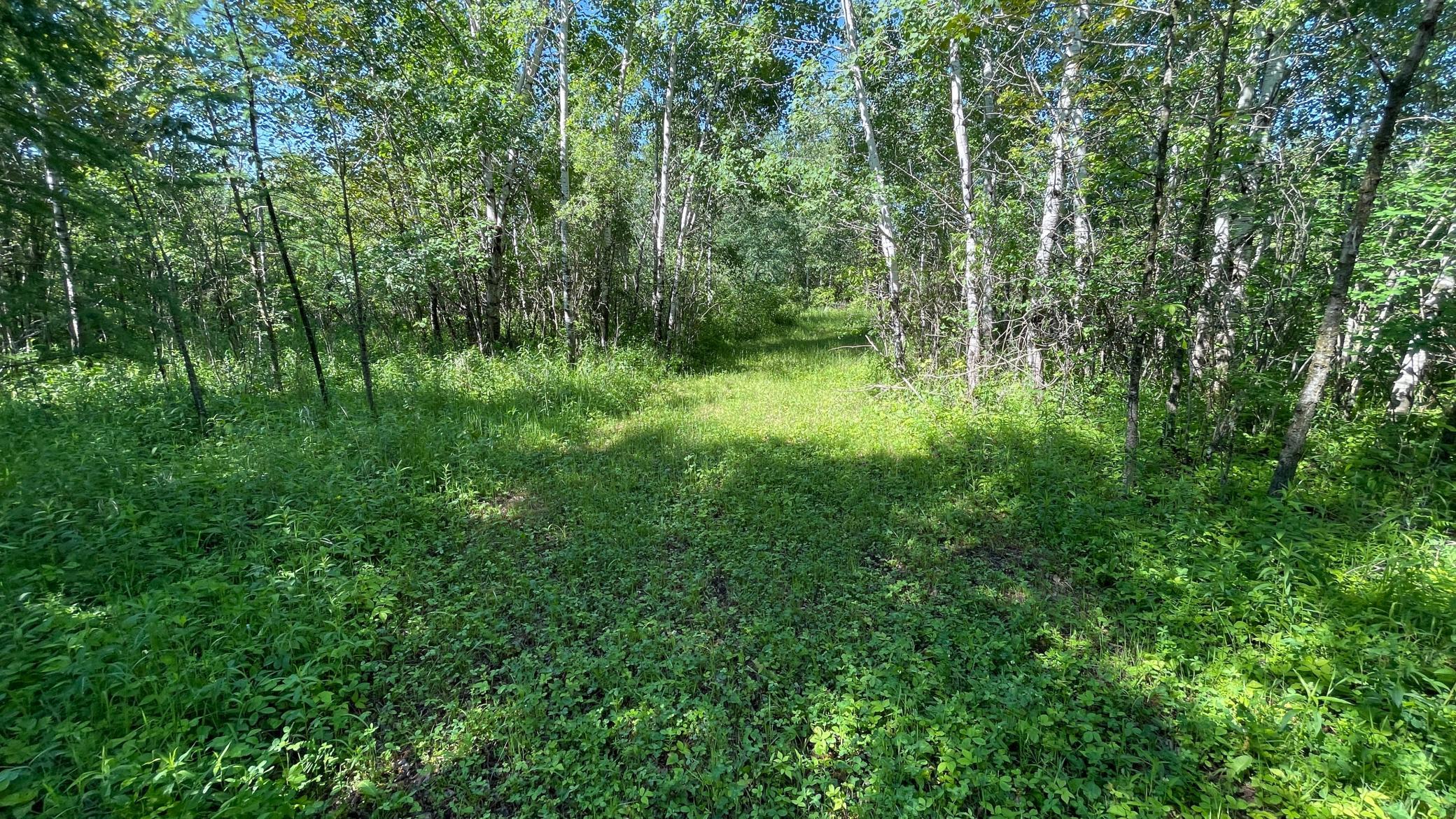 land for sale at TBD 440th Avenue in Wannaska, MN (photo 52 of 80)